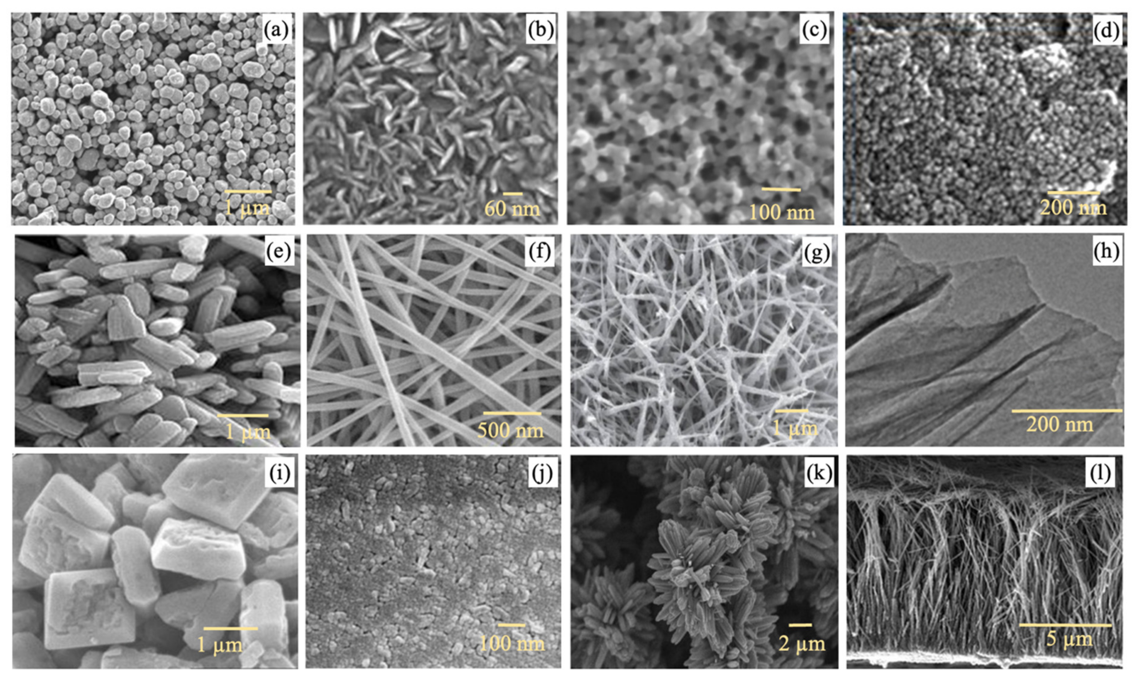 Nanomaterials 13 00448 g001