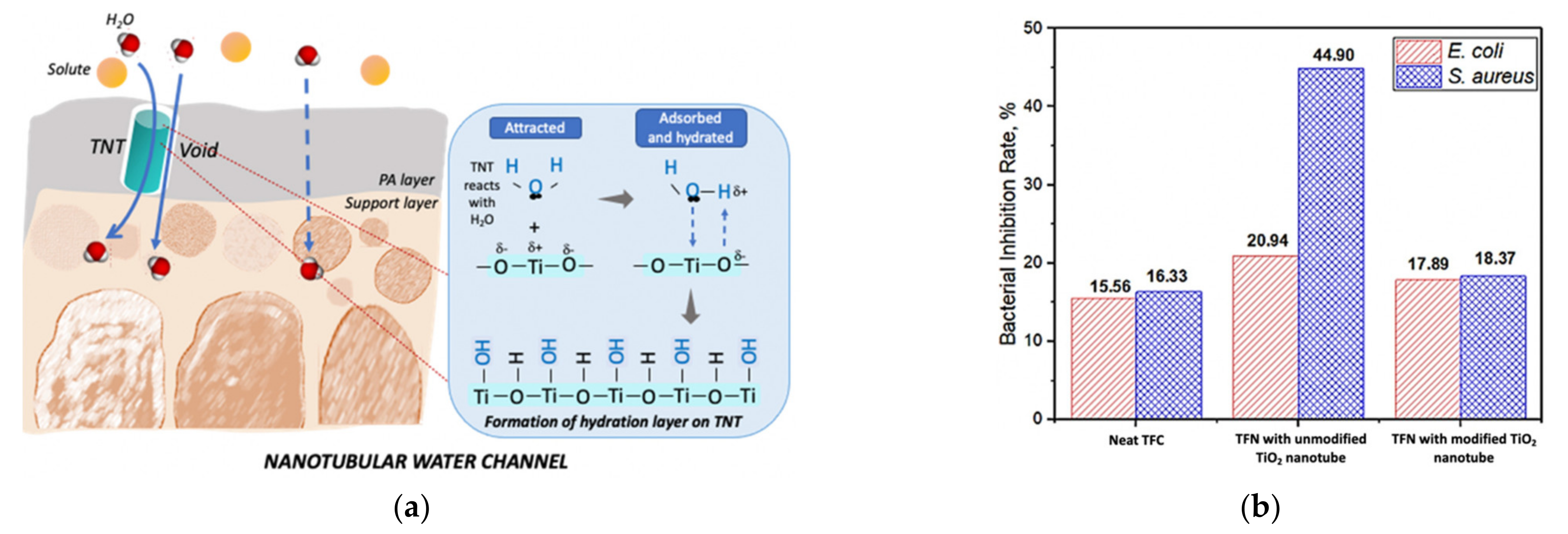 Nanomaterials 13 00448 g004