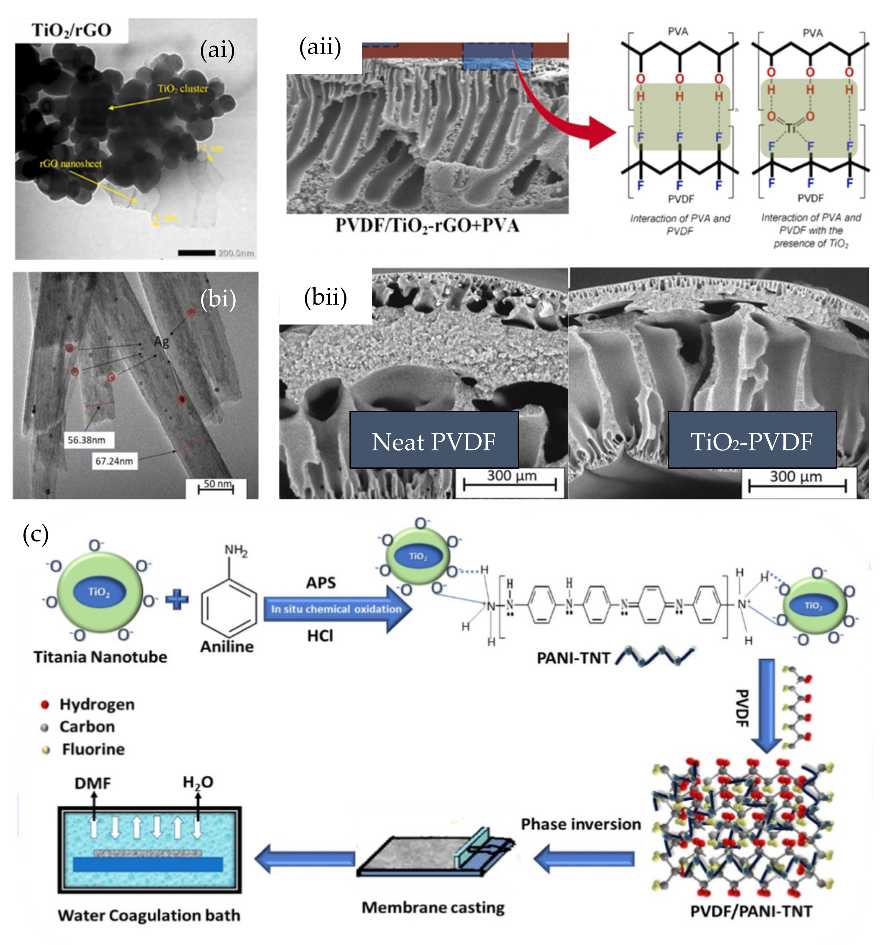 Nanomaterials 13 00448 g005
