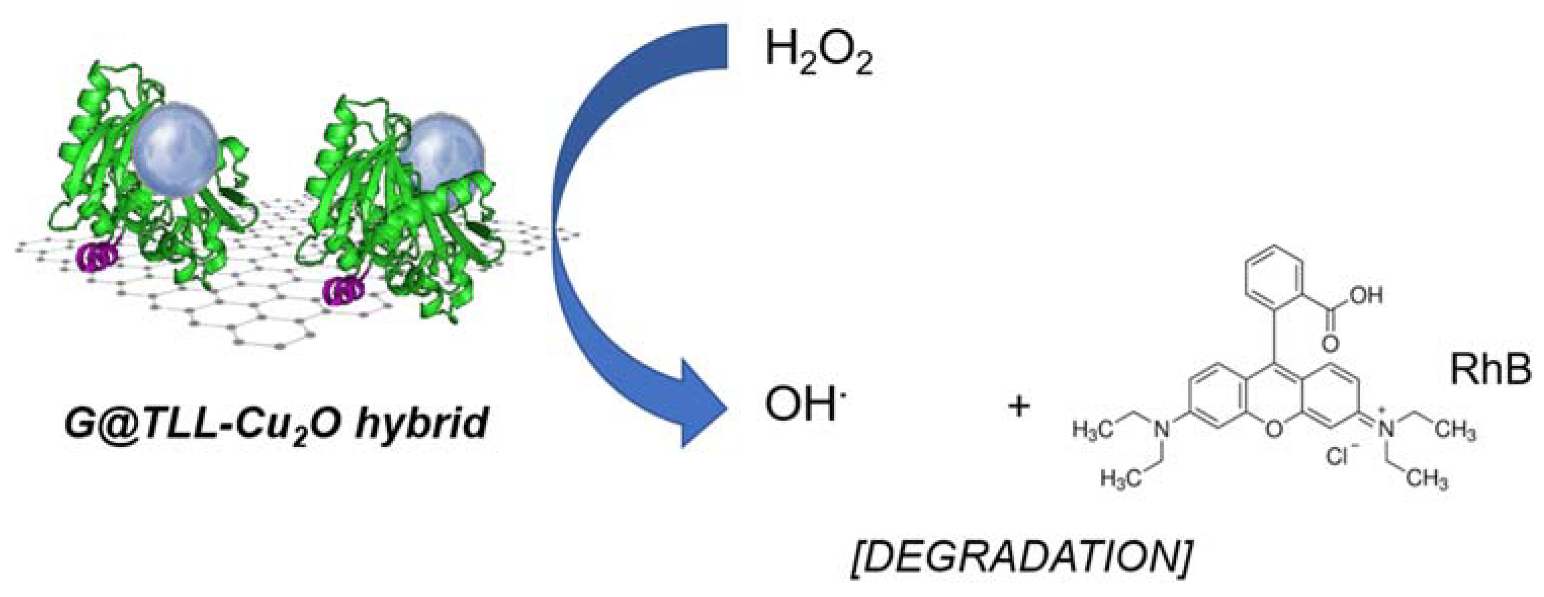 Nanomaterials 13 00449 sch002 Nanomaterials 13 00449 sch002