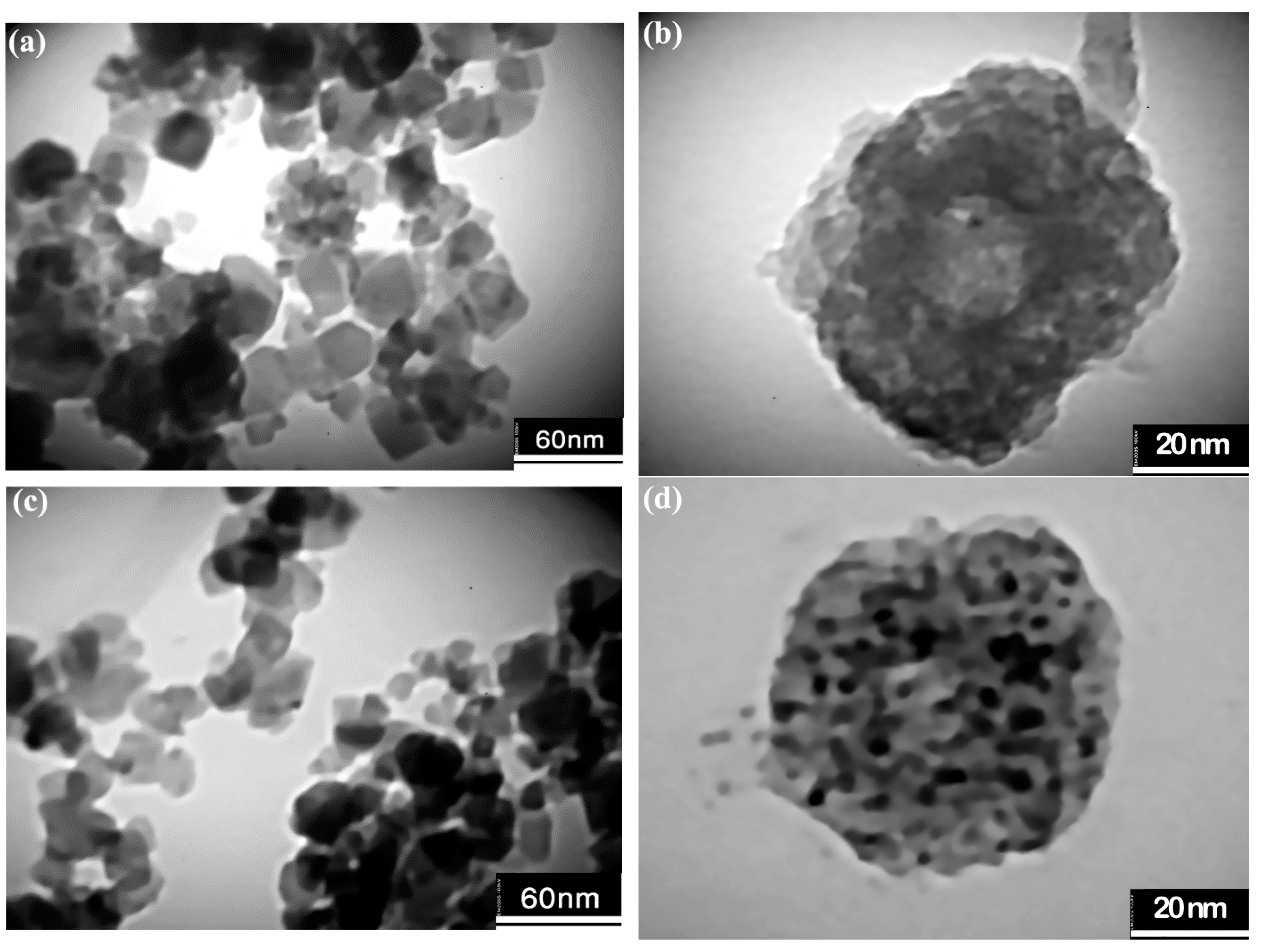 Nanomaterials 13 00452 g005 Nanomaterials 13 00452 g005