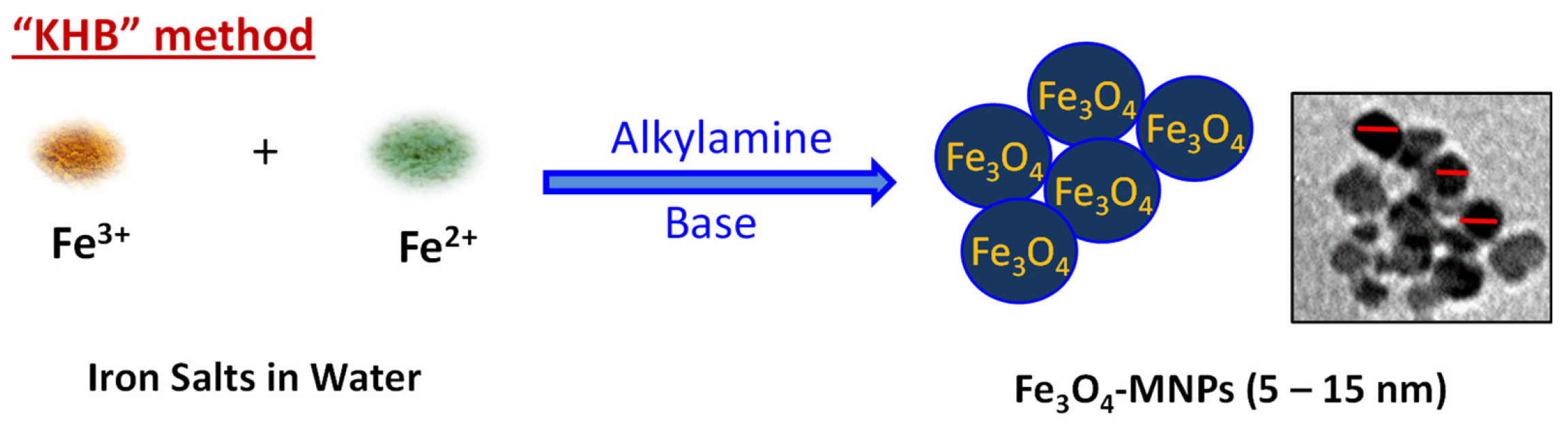 Nanomaterials 13 00453 g001 Nanomaterials 13 00453 g001