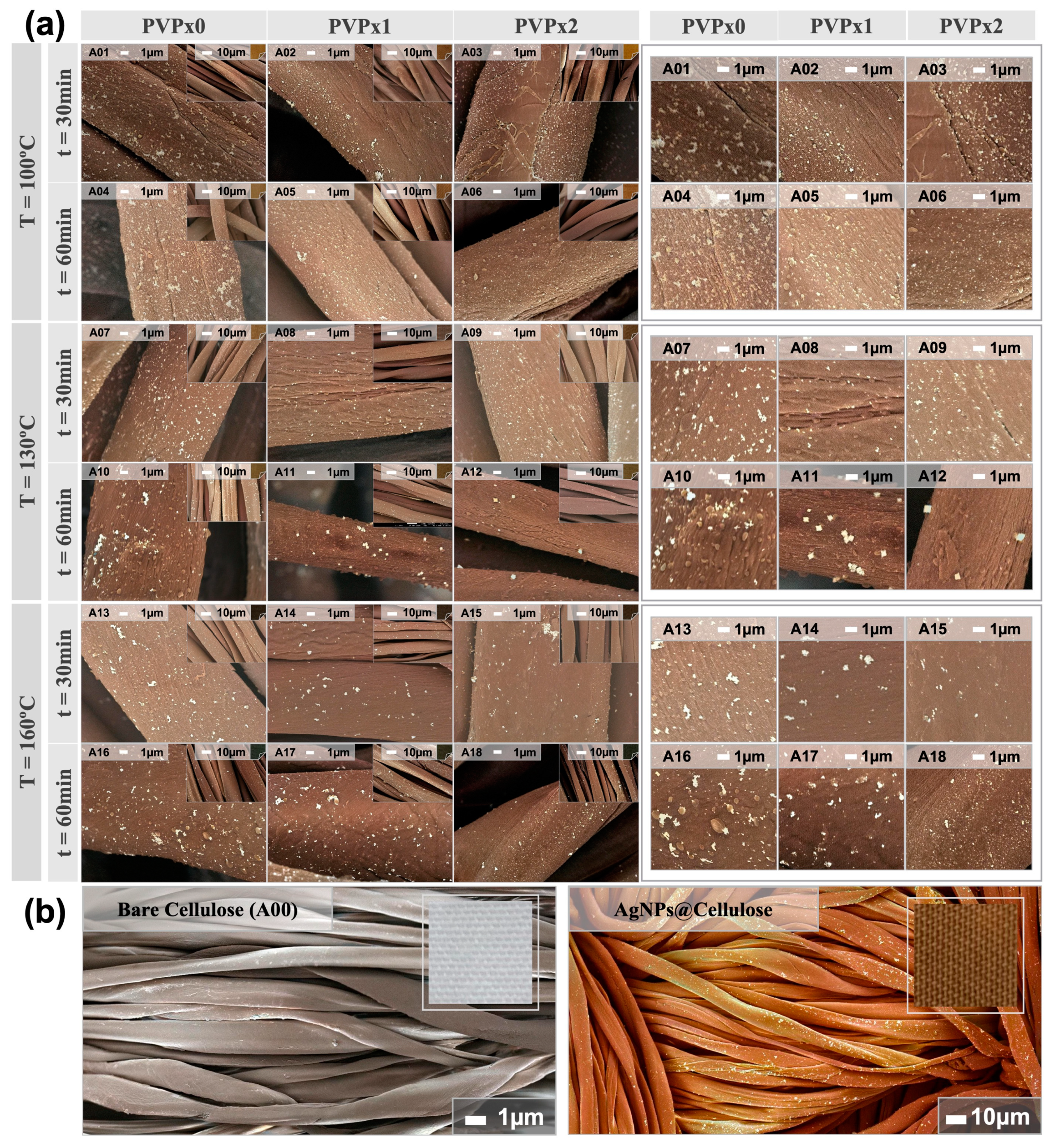 Nanomaterials 13 00463 g001