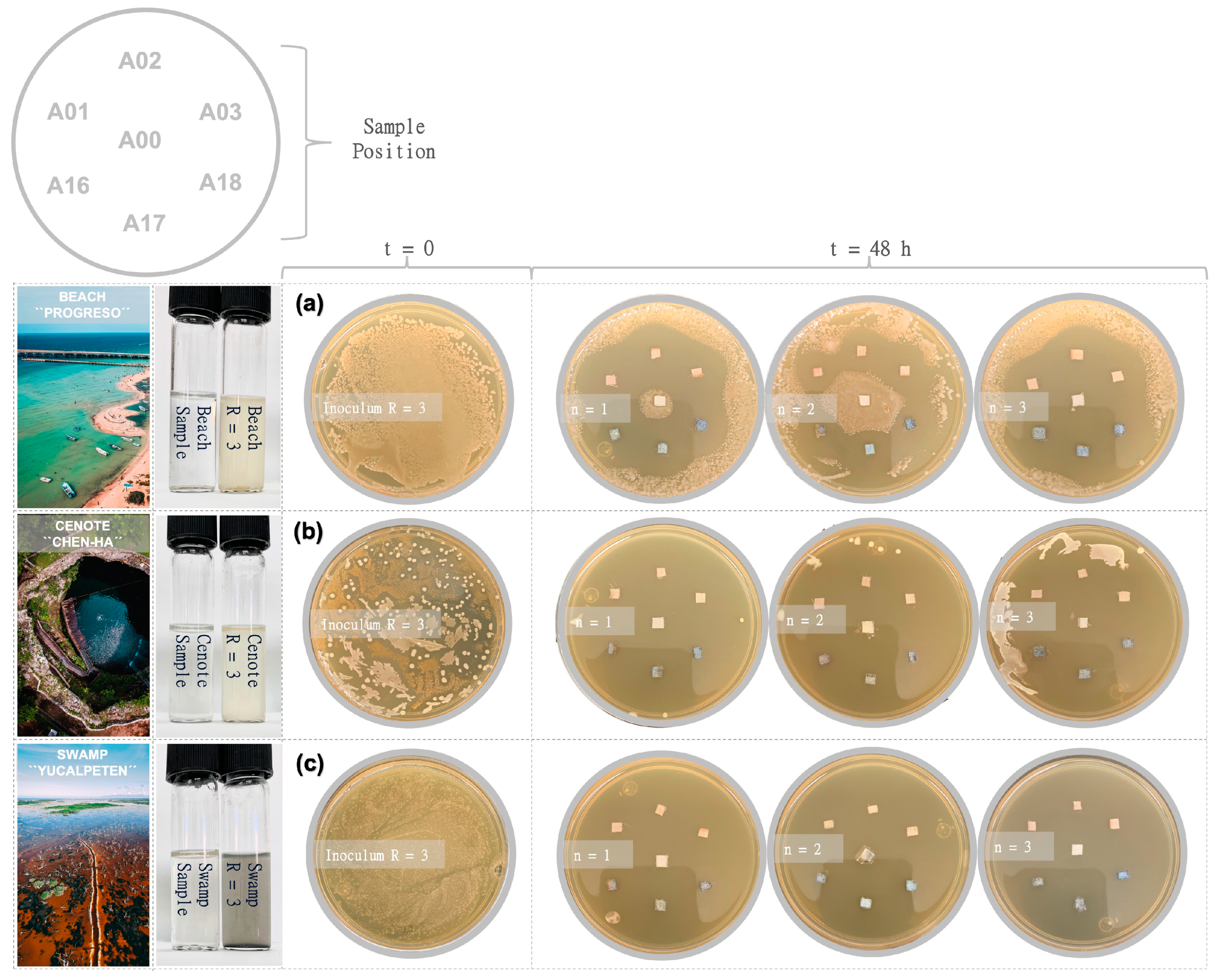 Nanomaterials 13 00463 g008