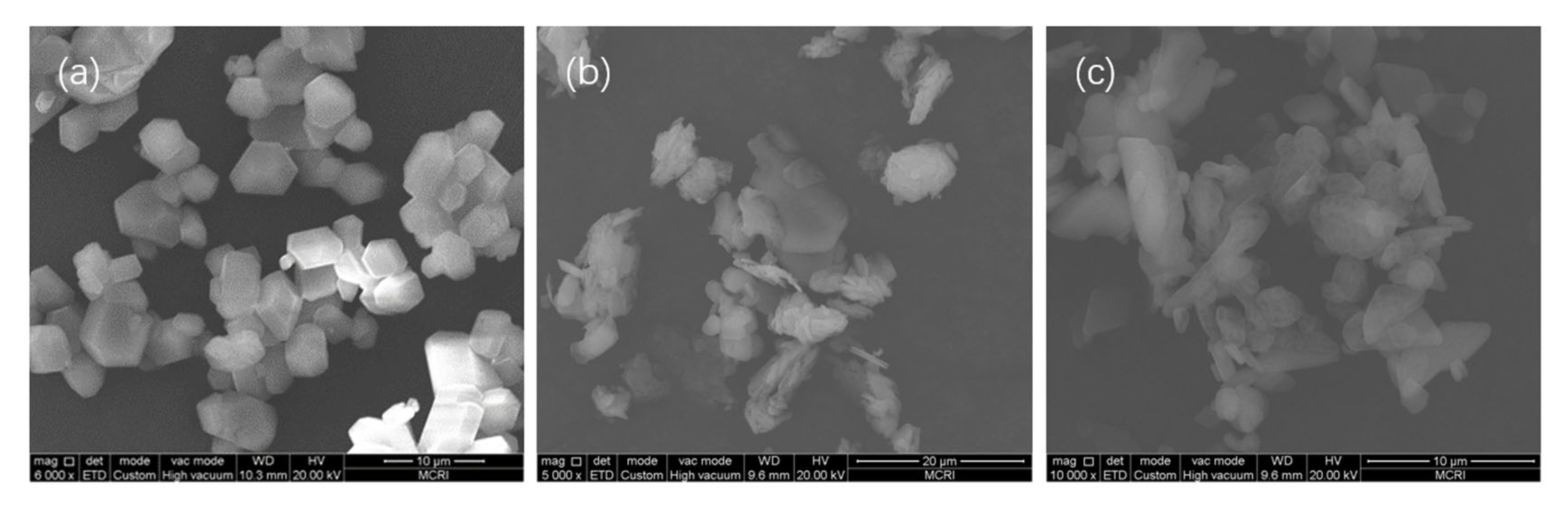 Nanomaterials 13 00464 g007 Nanomaterials 13 00464 g007