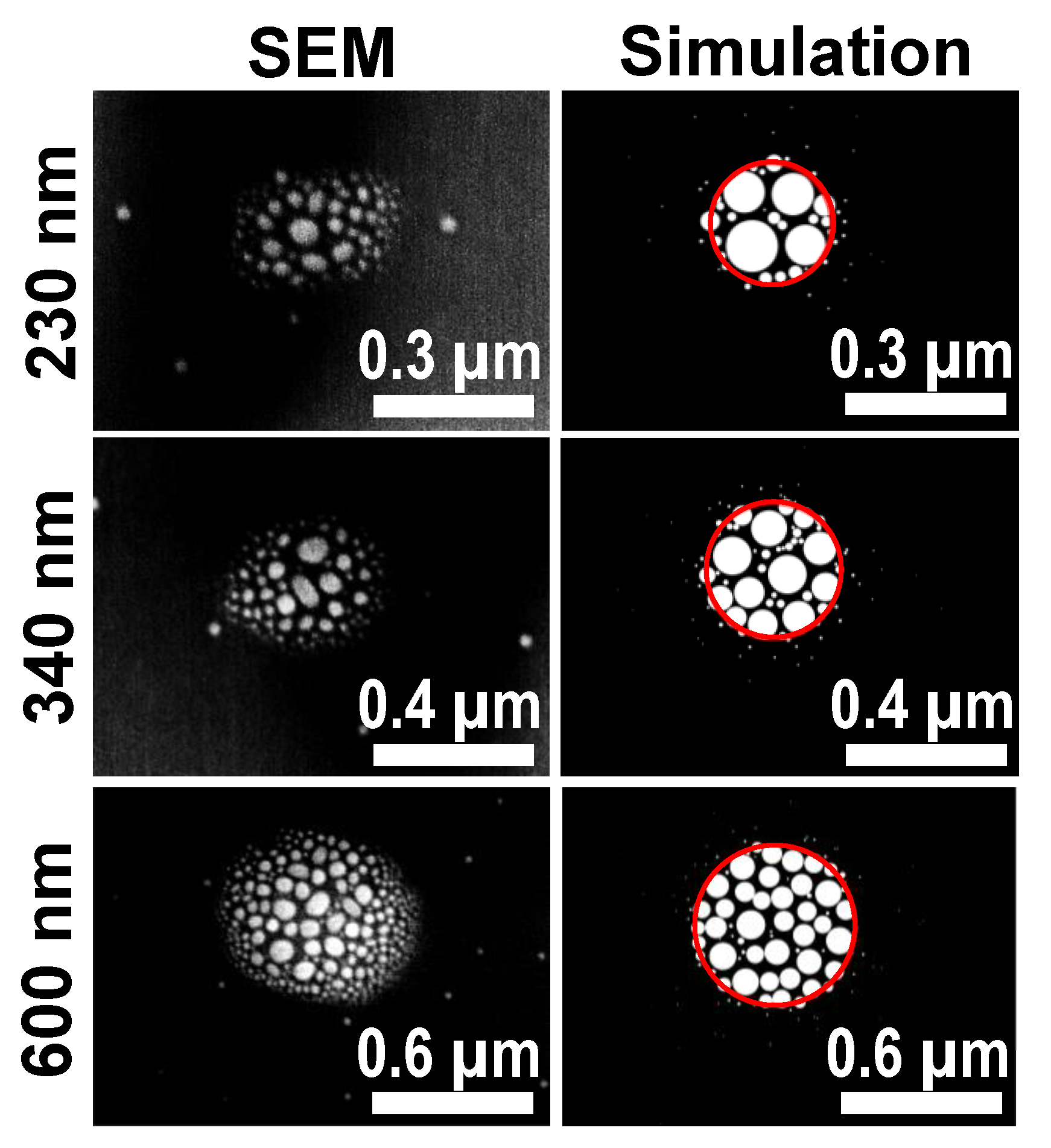 Nanomaterials 13 00466 g002