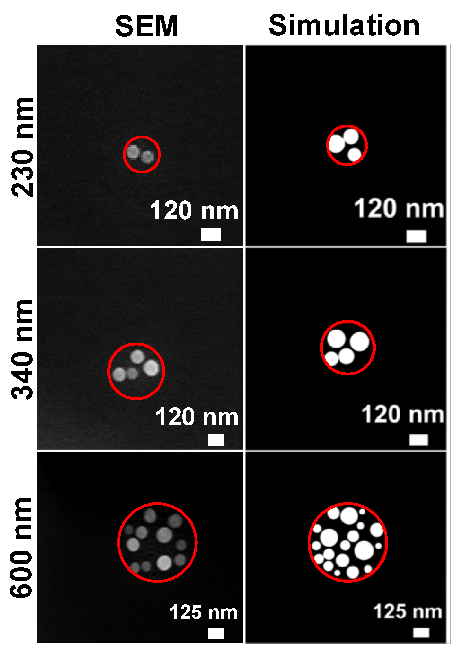 Nanomaterials 13 00466 g005