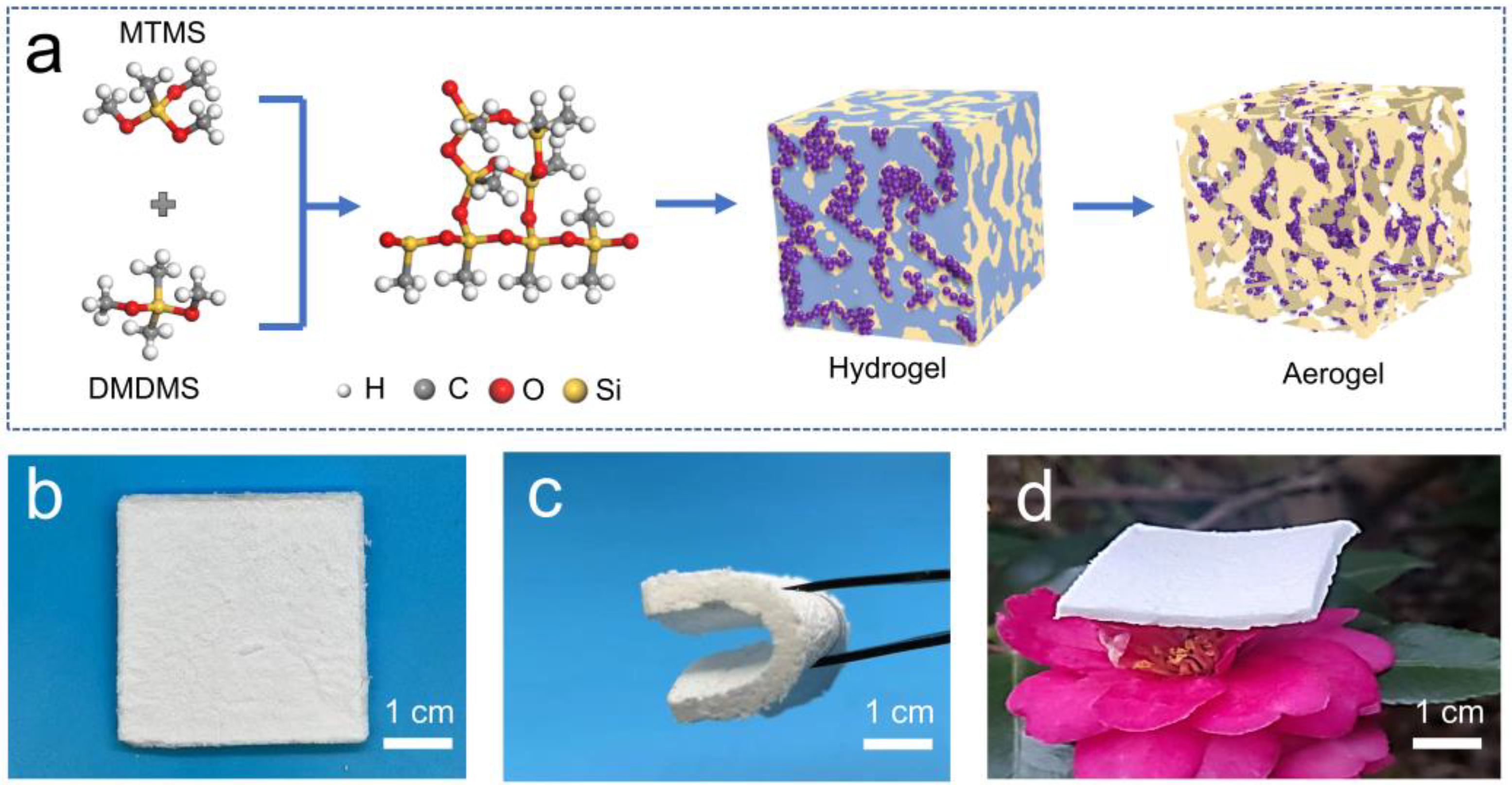 Nanomaterials 13 00467 g001 Nanomaterials 13 00467 g001
