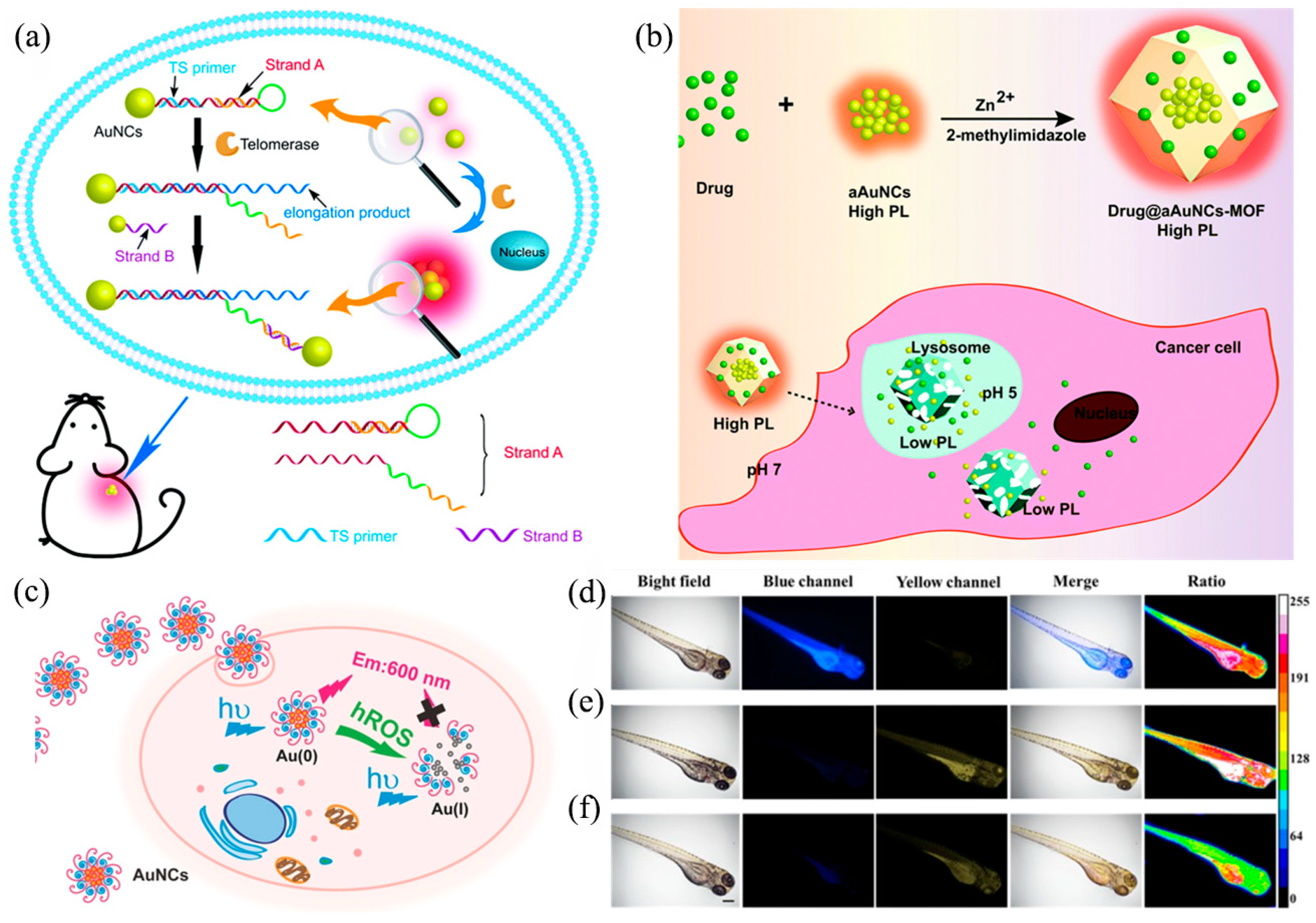 Nanomaterials 13 00470 g007 Nanomaterials 13 00470 g007