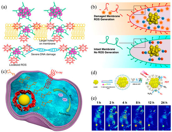 Viewing Aggregation-Induced Emission of Metal Nanoclusters