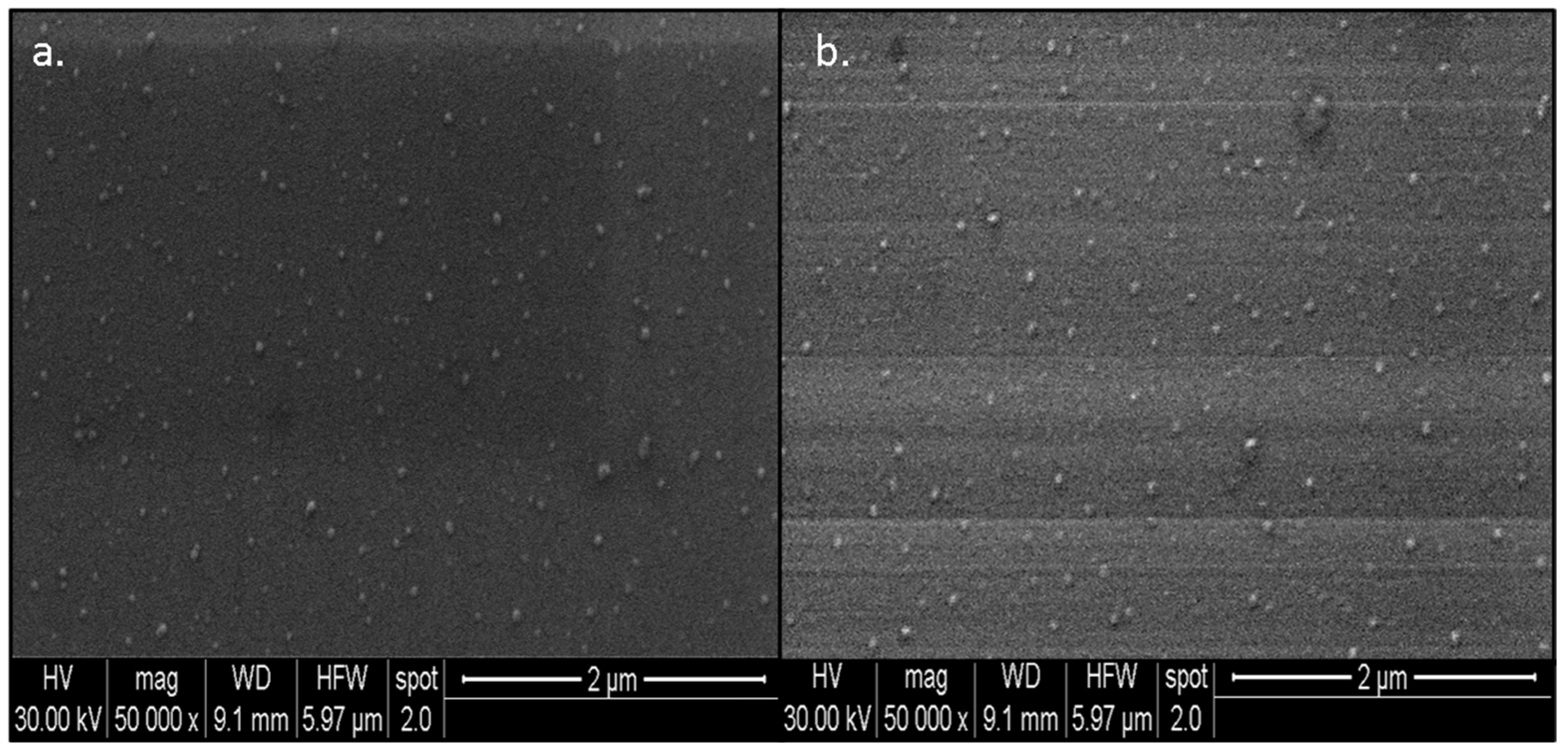 Nanomaterials 13 00475 g004 Nanomaterials 13 00475 g004