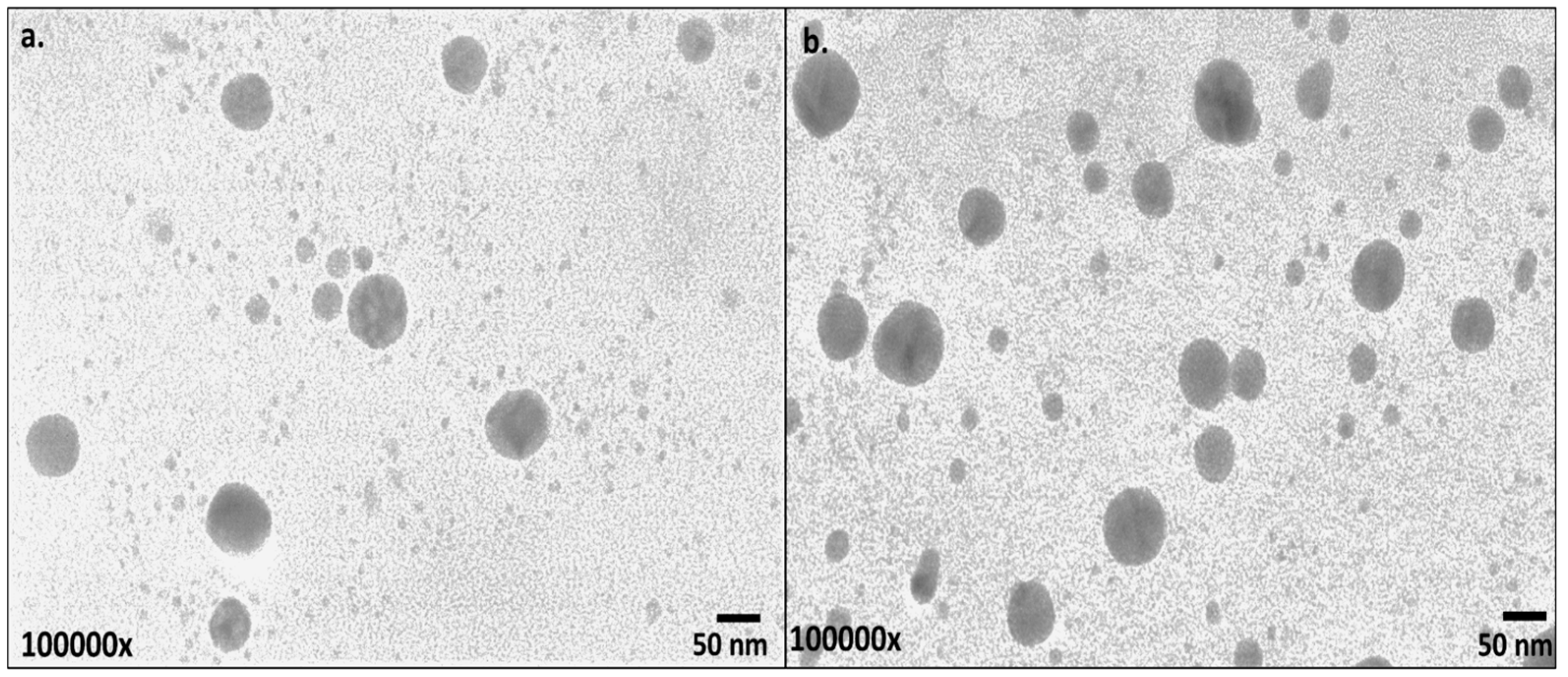 Nanomaterials 13 00475 g005 Nanomaterials 13 00475 g005