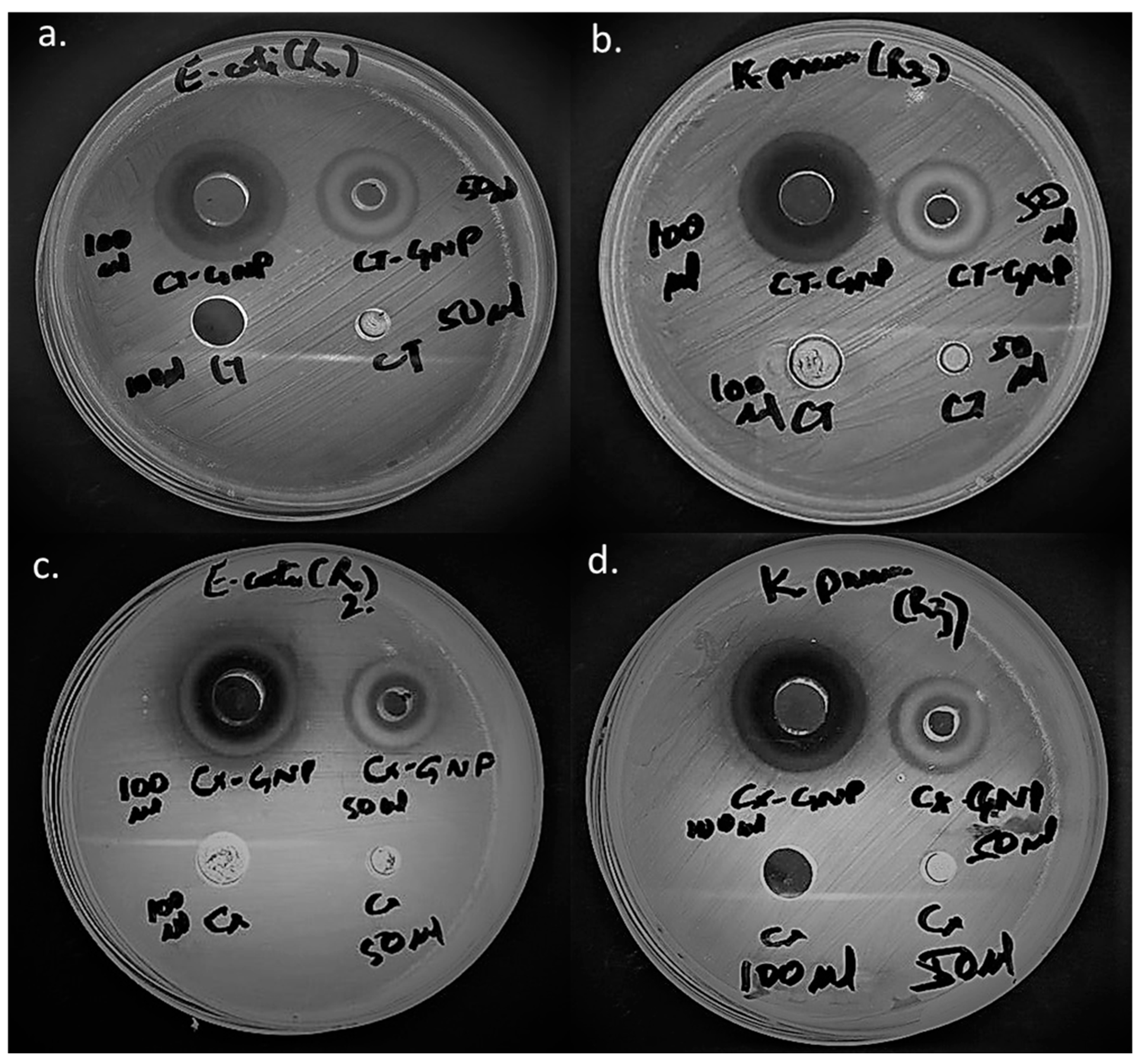 Nanomaterials 13 00475 g006 Nanomaterials 13 00475 g006