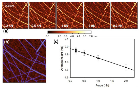 Measuring the Diameter of Single-Wall Carbon Nanotubes Using AFM - news