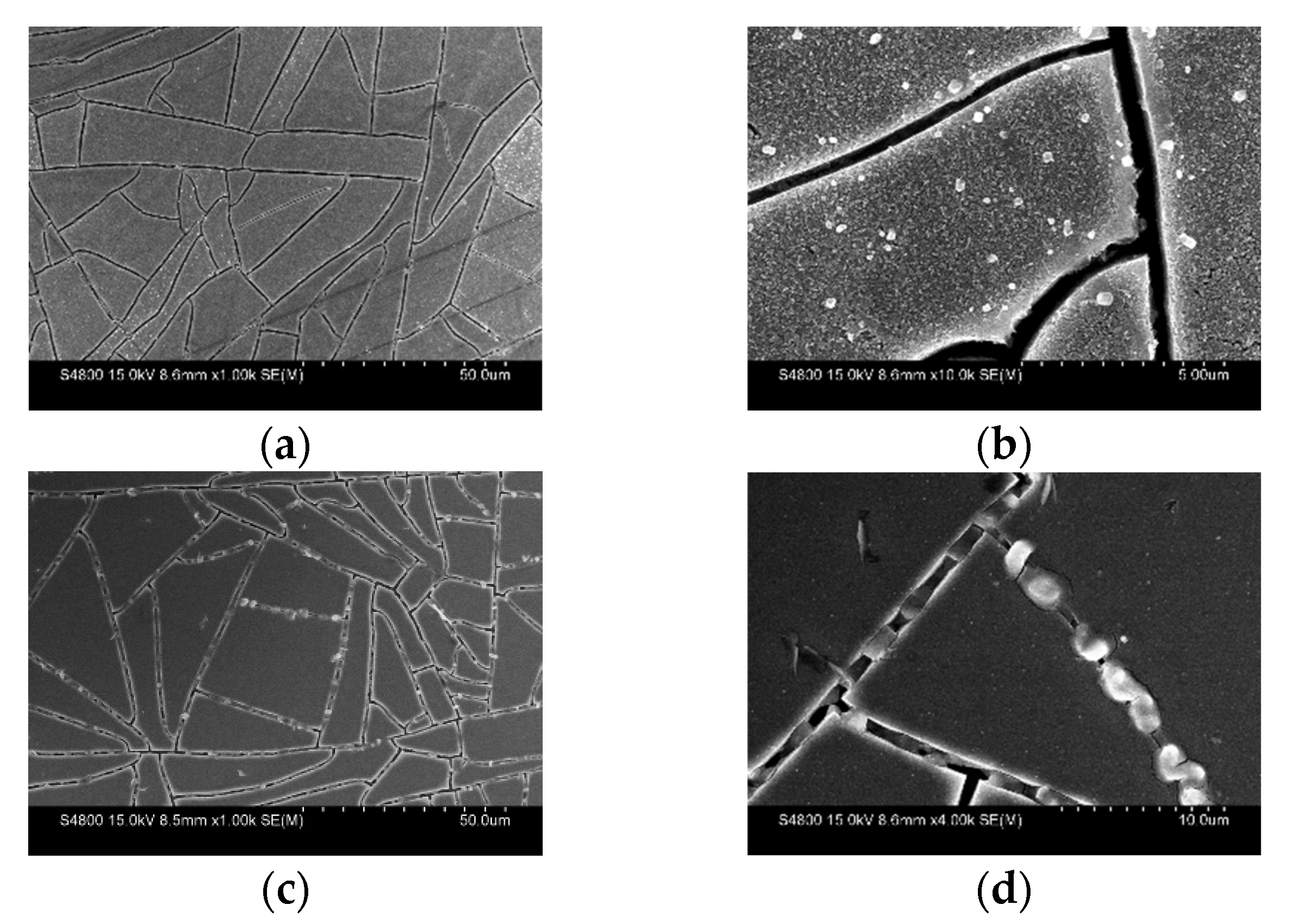 Nanomaterials 13 00478 g004 Nanomaterials 13 00478 g004