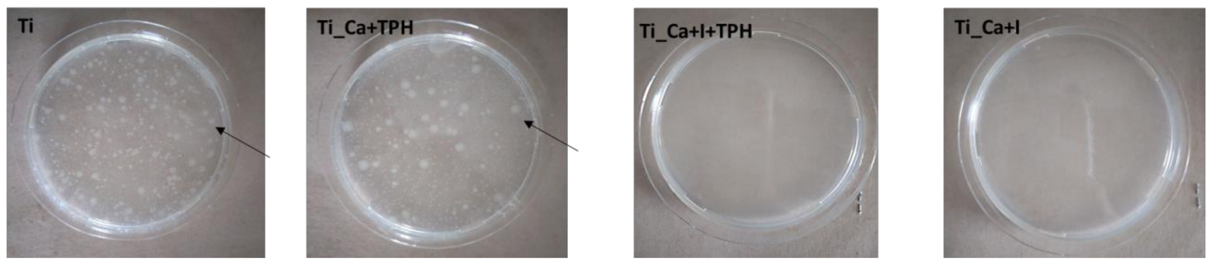 Nanomaterials 13 00479 g008