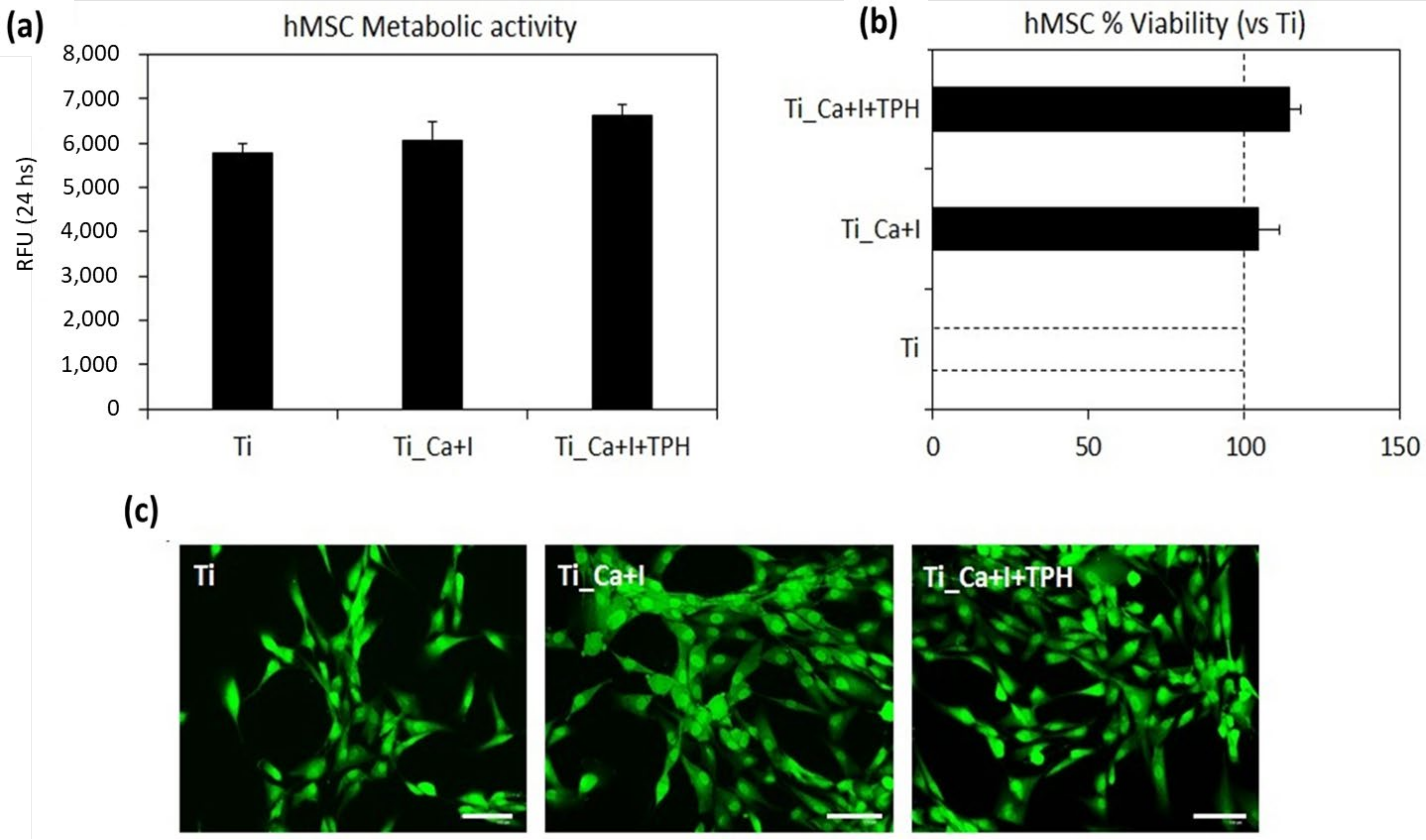 Nanomaterials 13 00479 g009