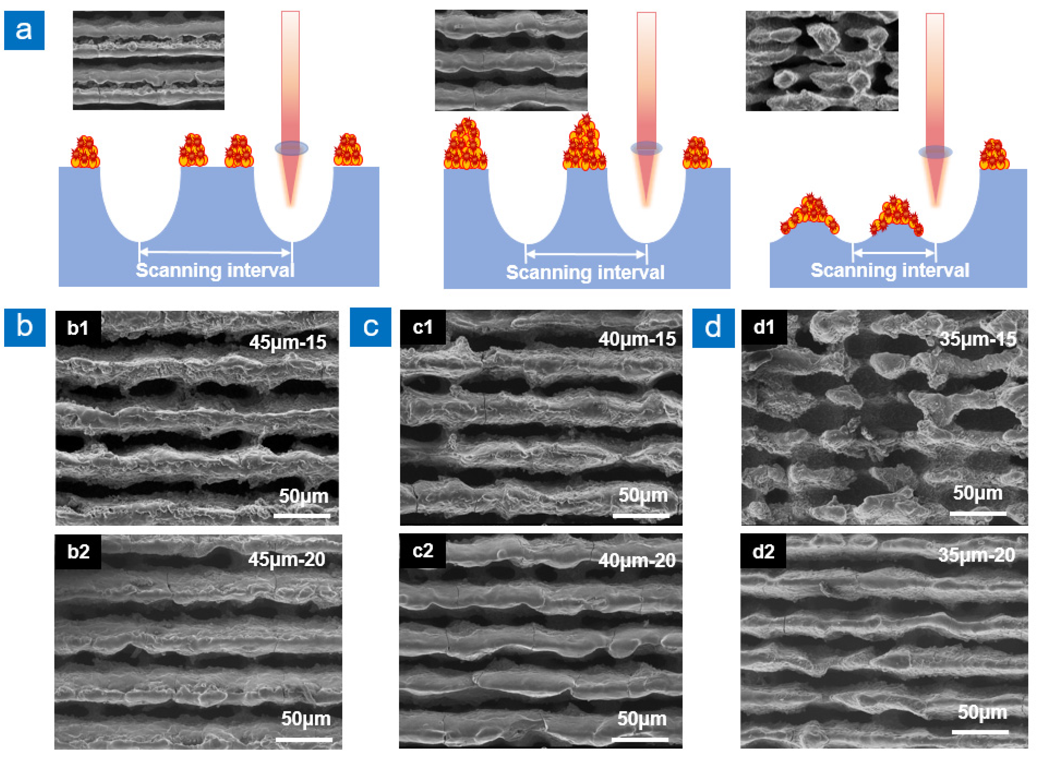 Nanomaterials 13 00480 g002