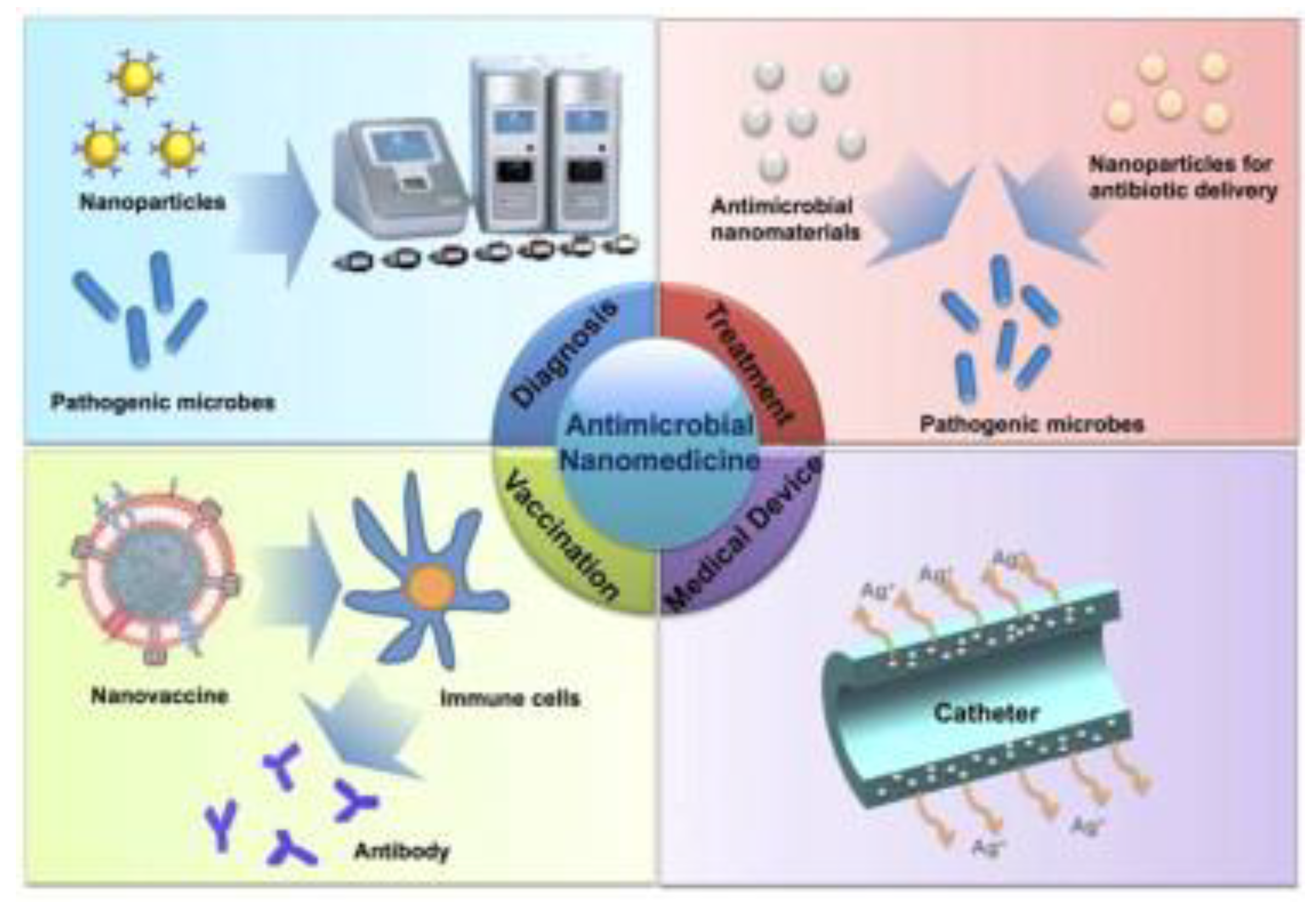 Nanomaterials 13 00483 g001