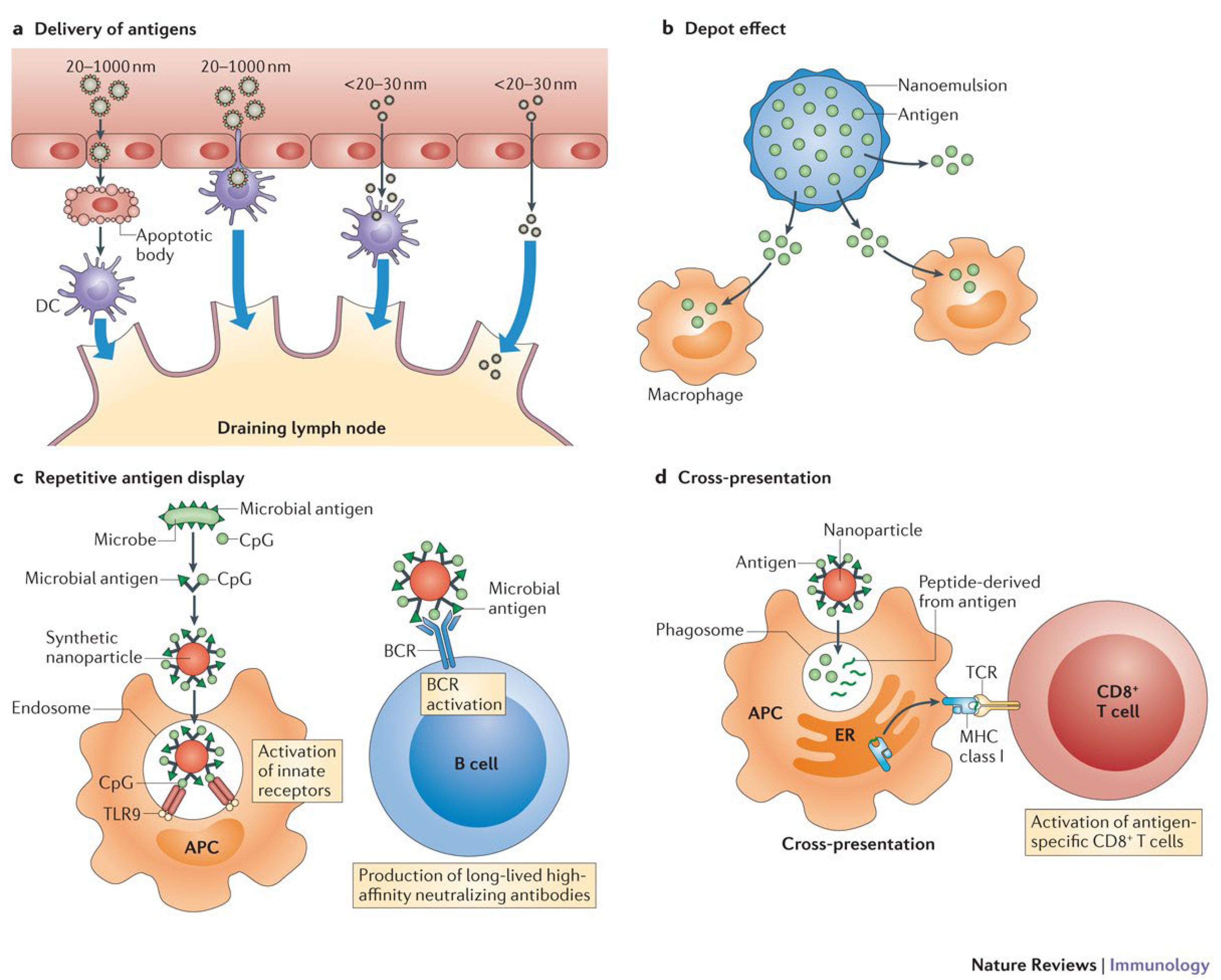 Nanomaterials 13 00483 g002