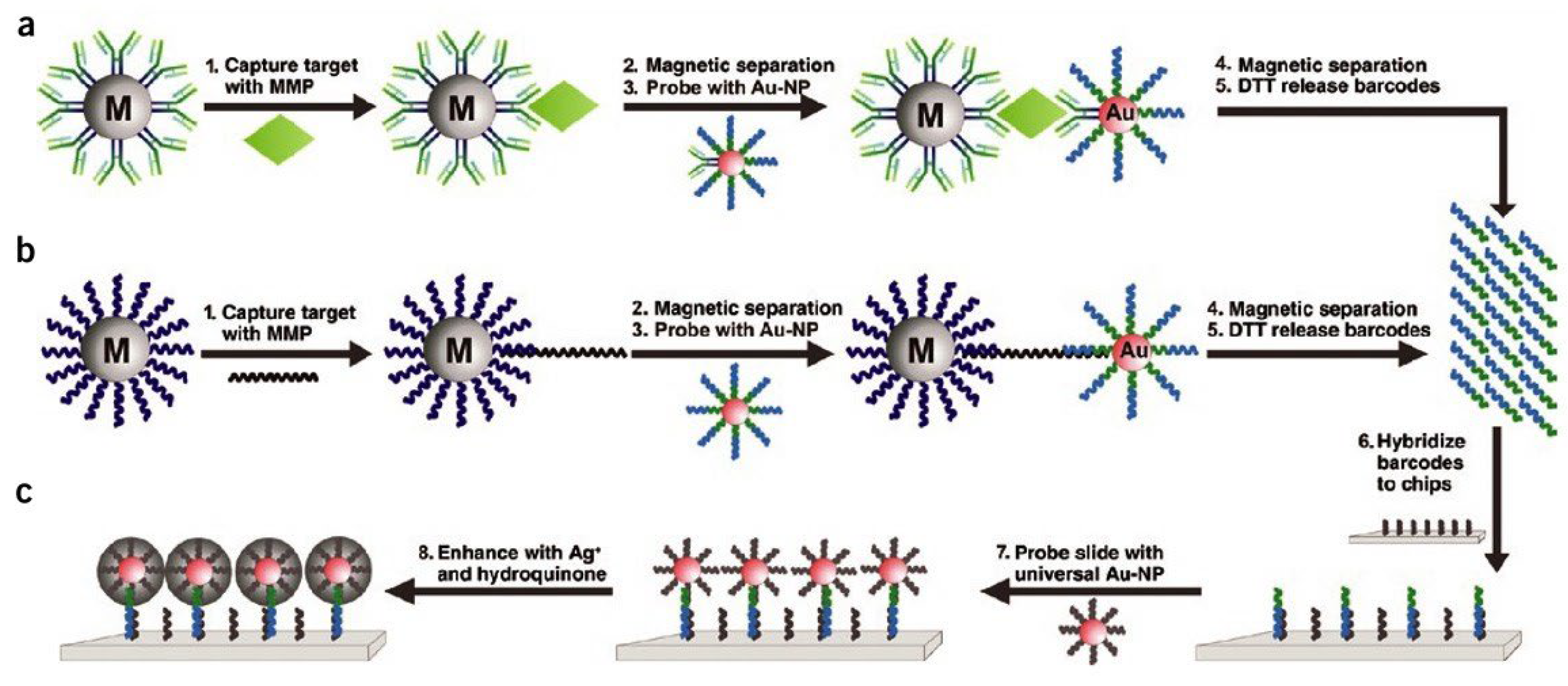 Nanomaterials 13 00483 g004