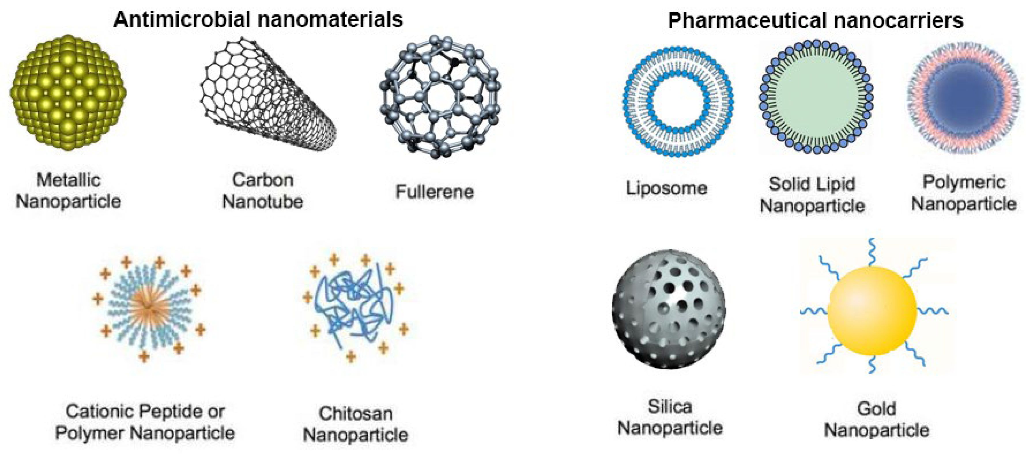 Nanomaterials 13 00483 g005