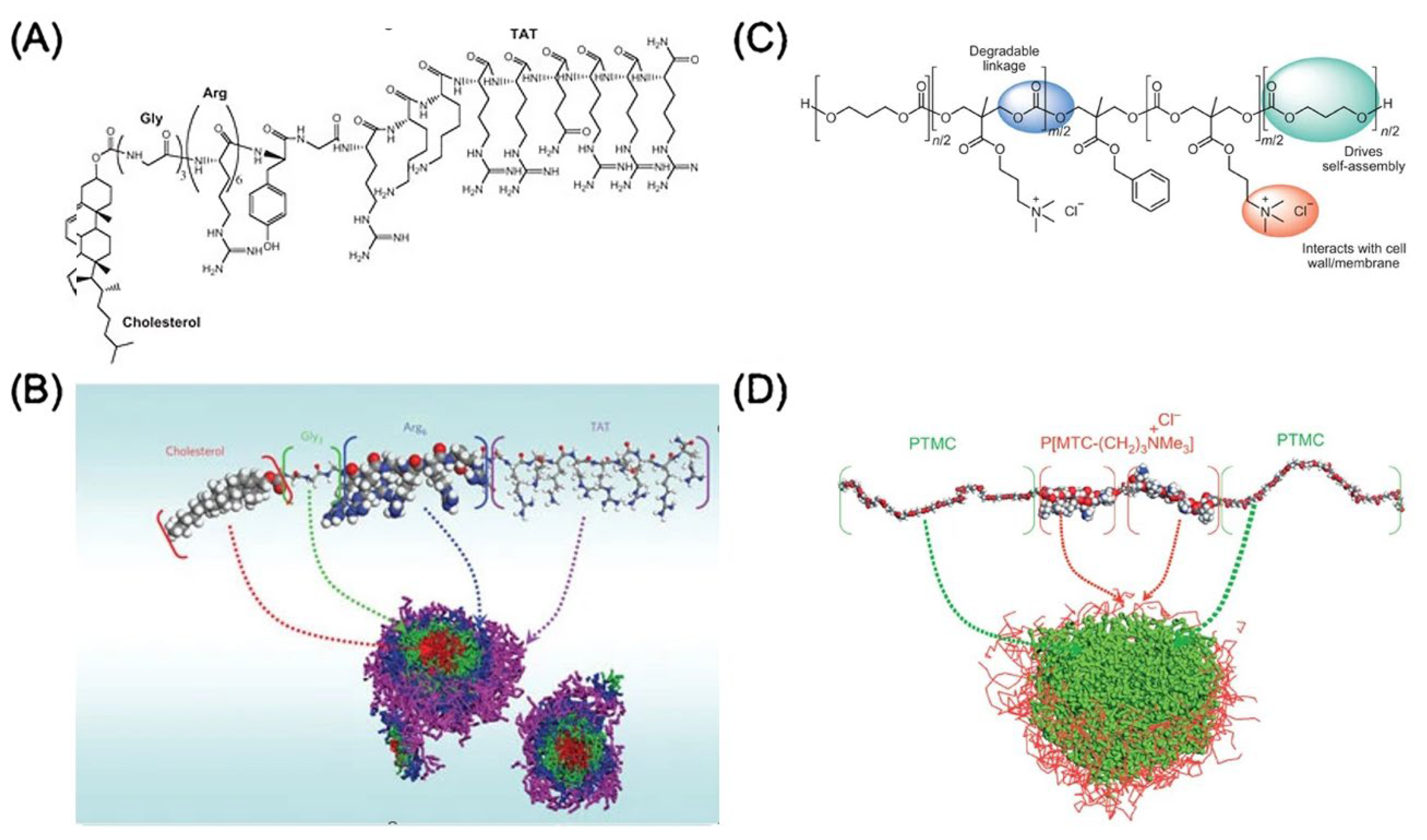 Nanomaterials 13 00483 g006