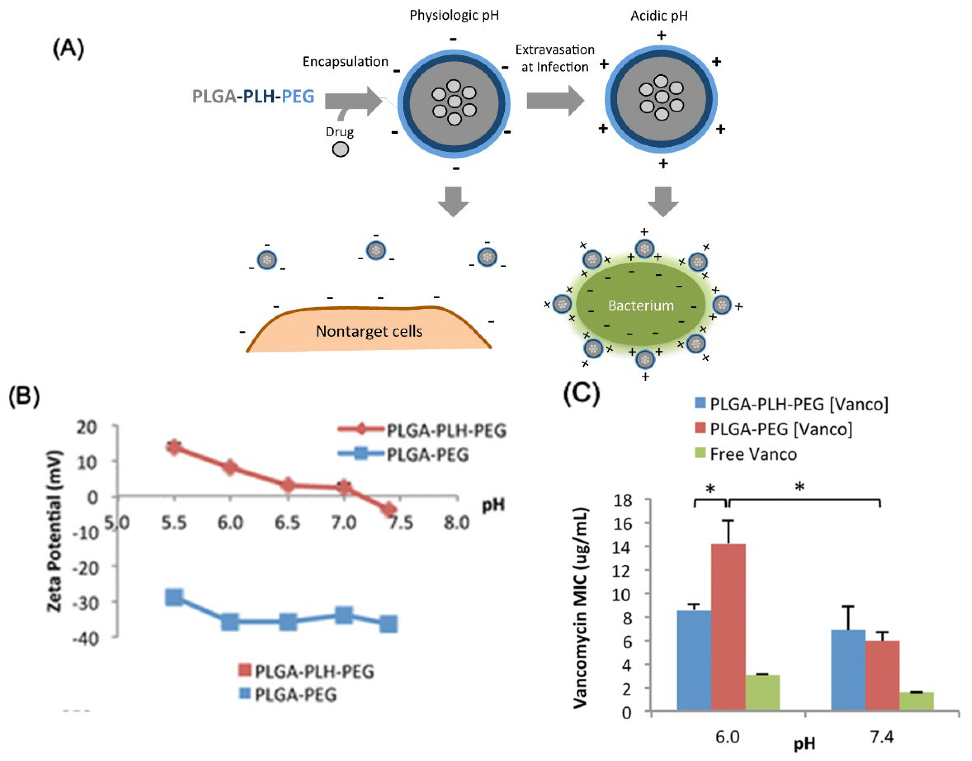 Nanomaterials 13 00483 g007