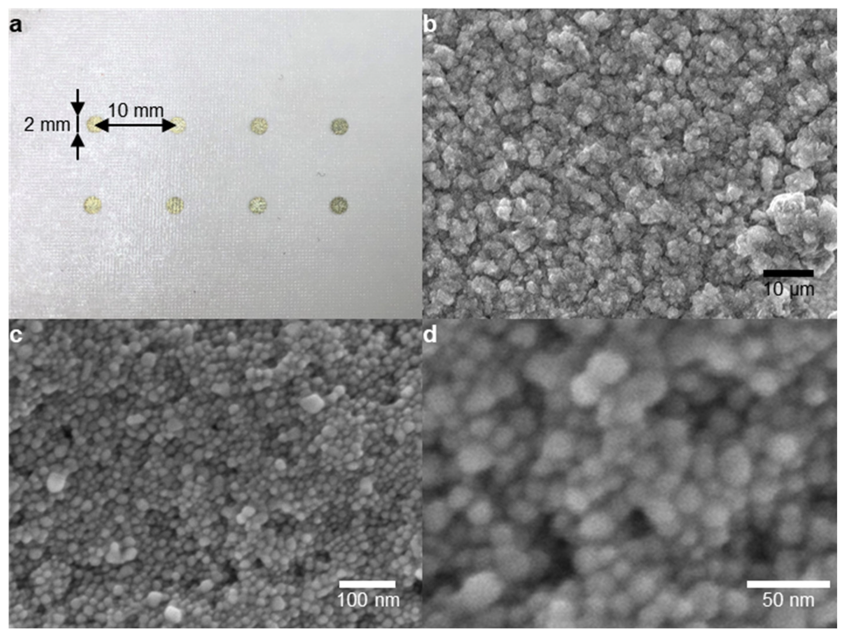 Nanomaterials 13 00486 g004