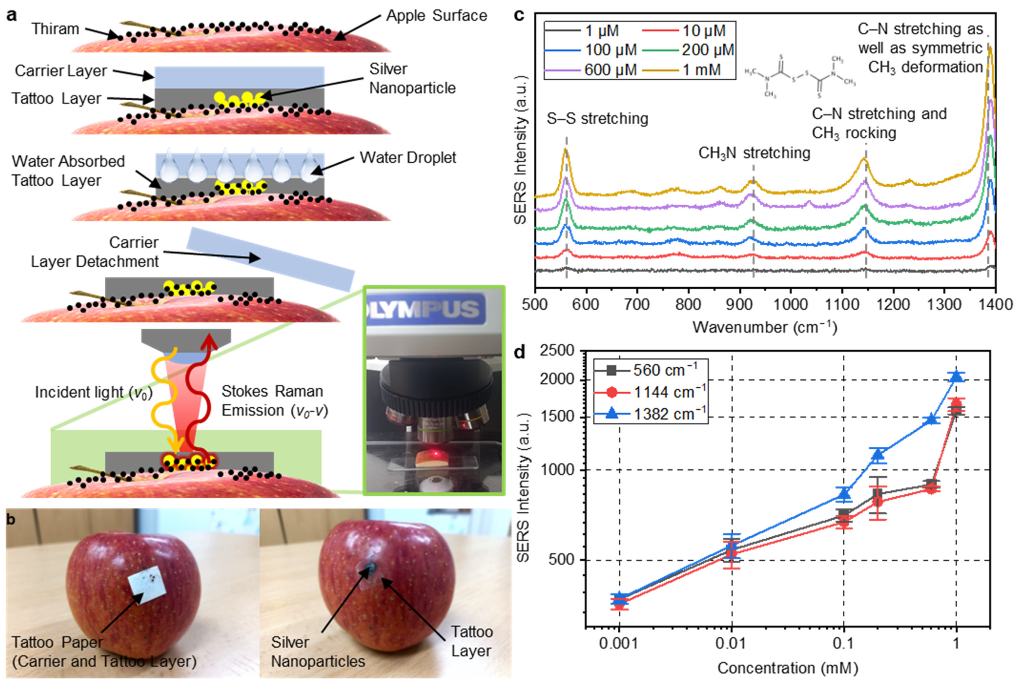 Nanomaterials 13 00486 g006