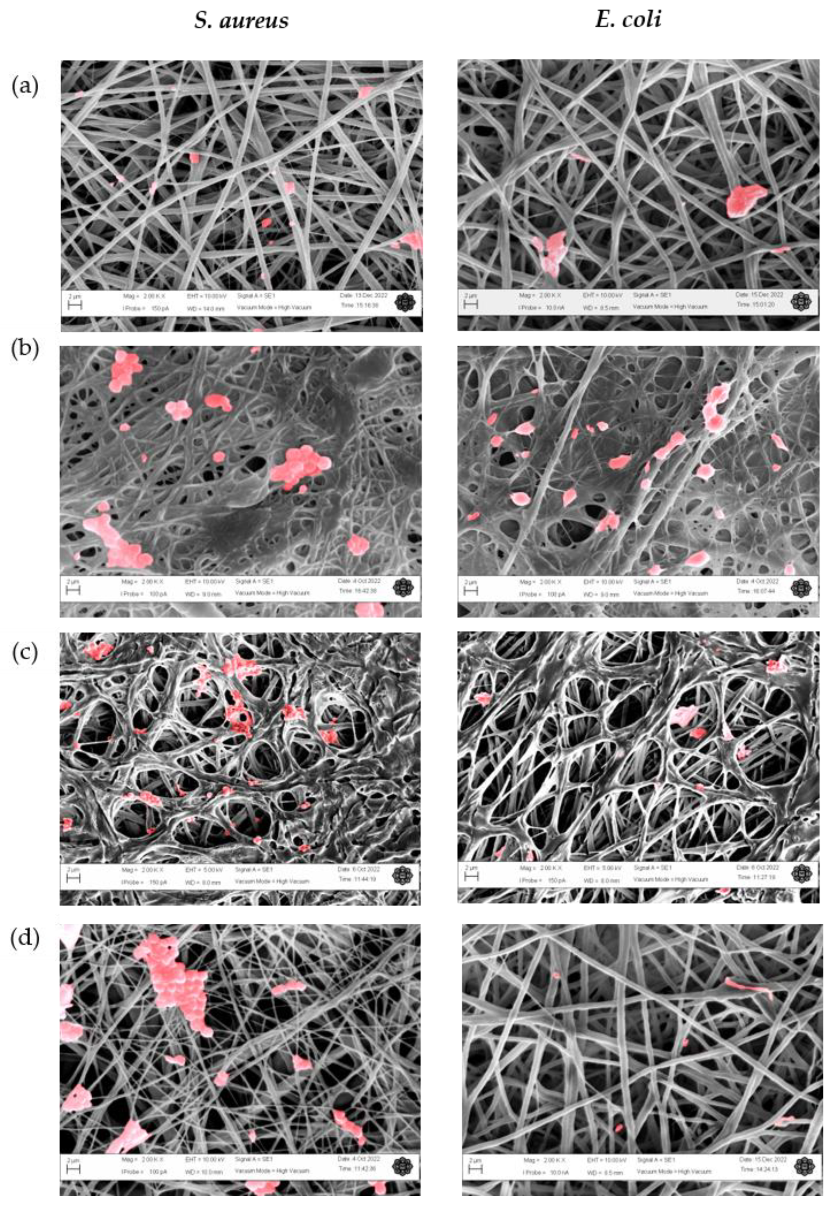 Nanomaterials 13 00488 g011