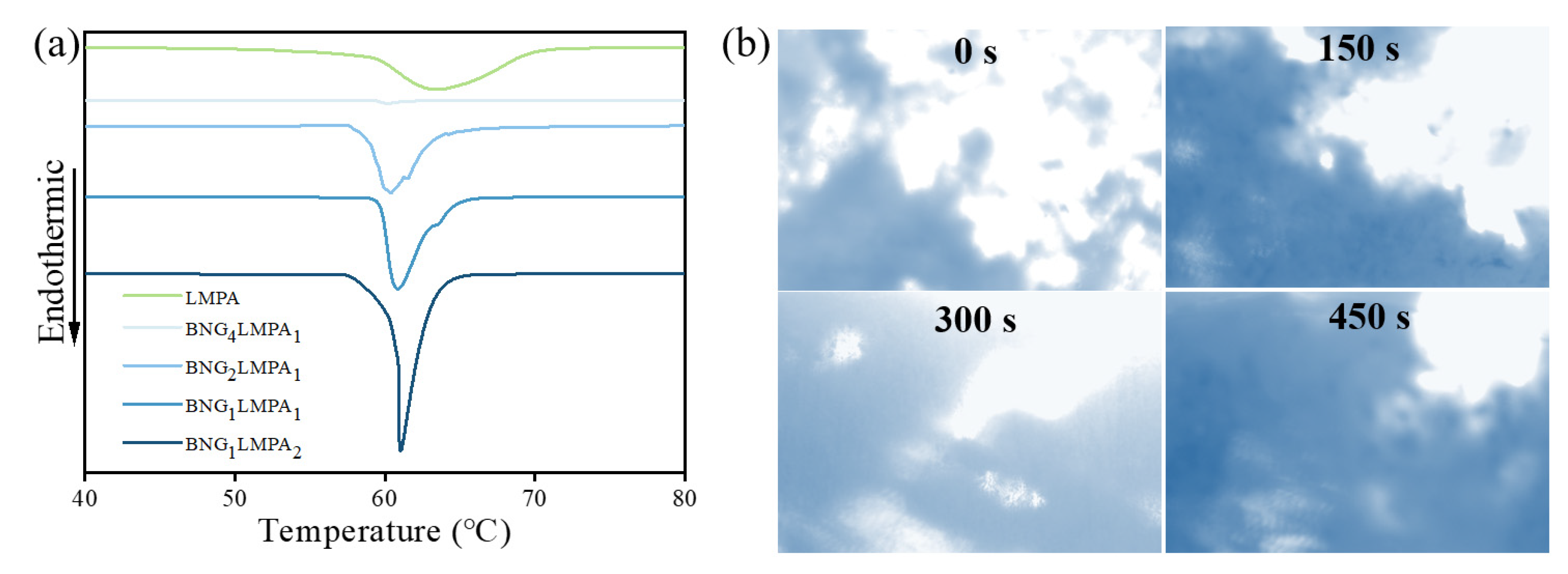 Nanomaterials 13 00490 g003