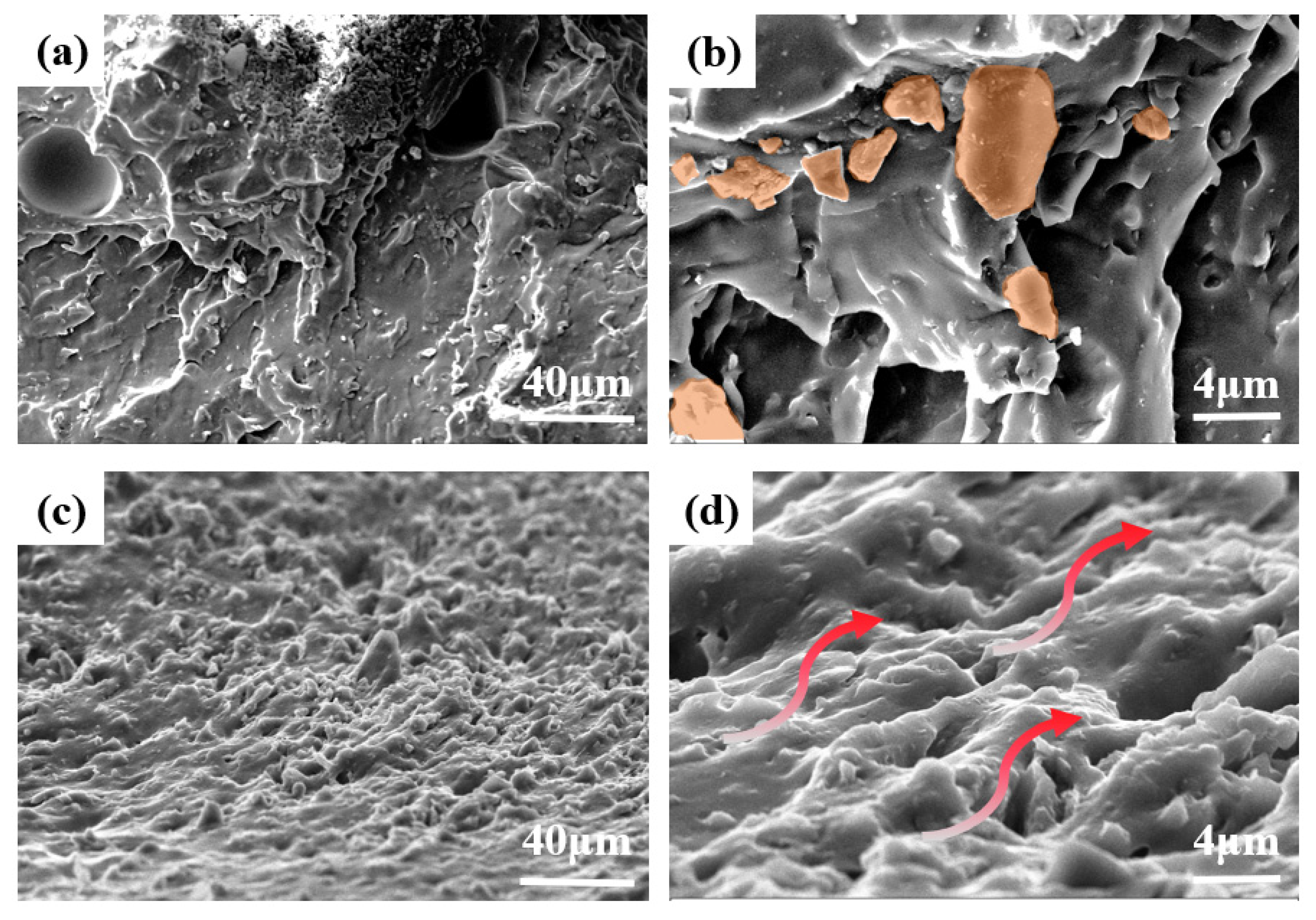 Nanomaterials 13 00490 g005