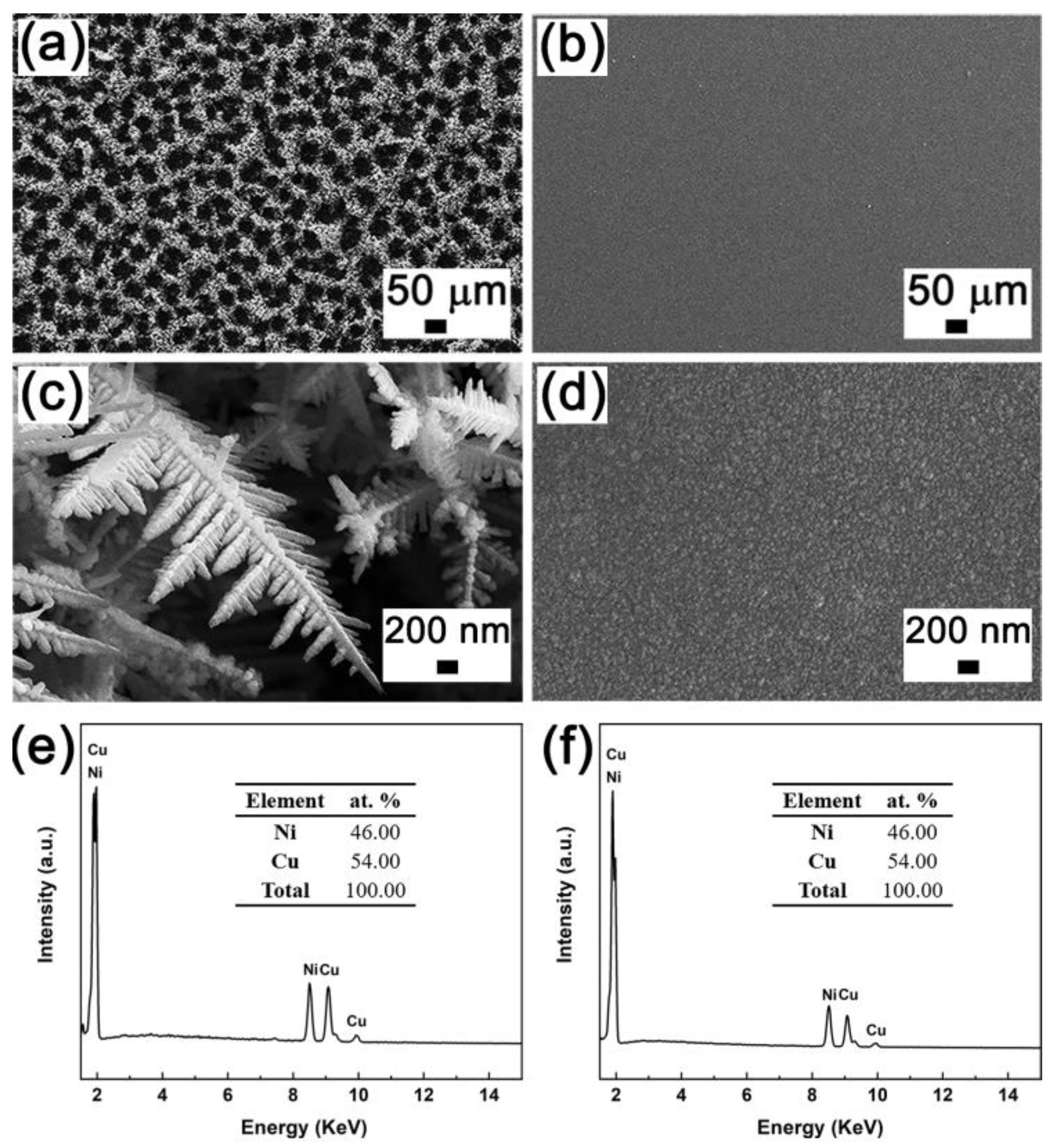 Nanomaterials 13 00491 g001 Nanomaterials 13 00491 g001