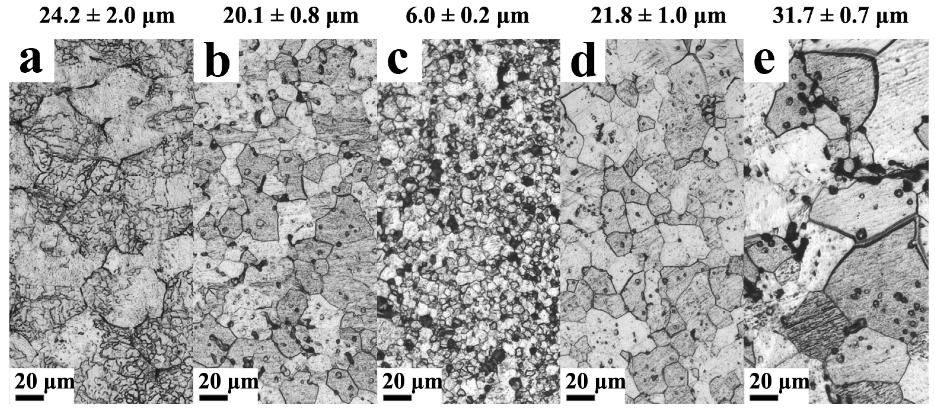 Nanomaterials 13 00497 g001