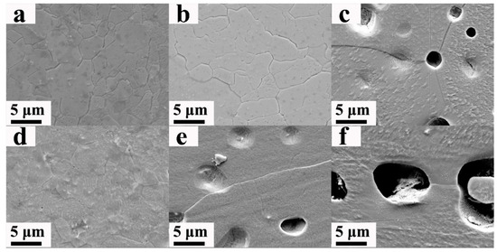 その他 SE The Effect of Rhenium Content on Microstructural Changes and