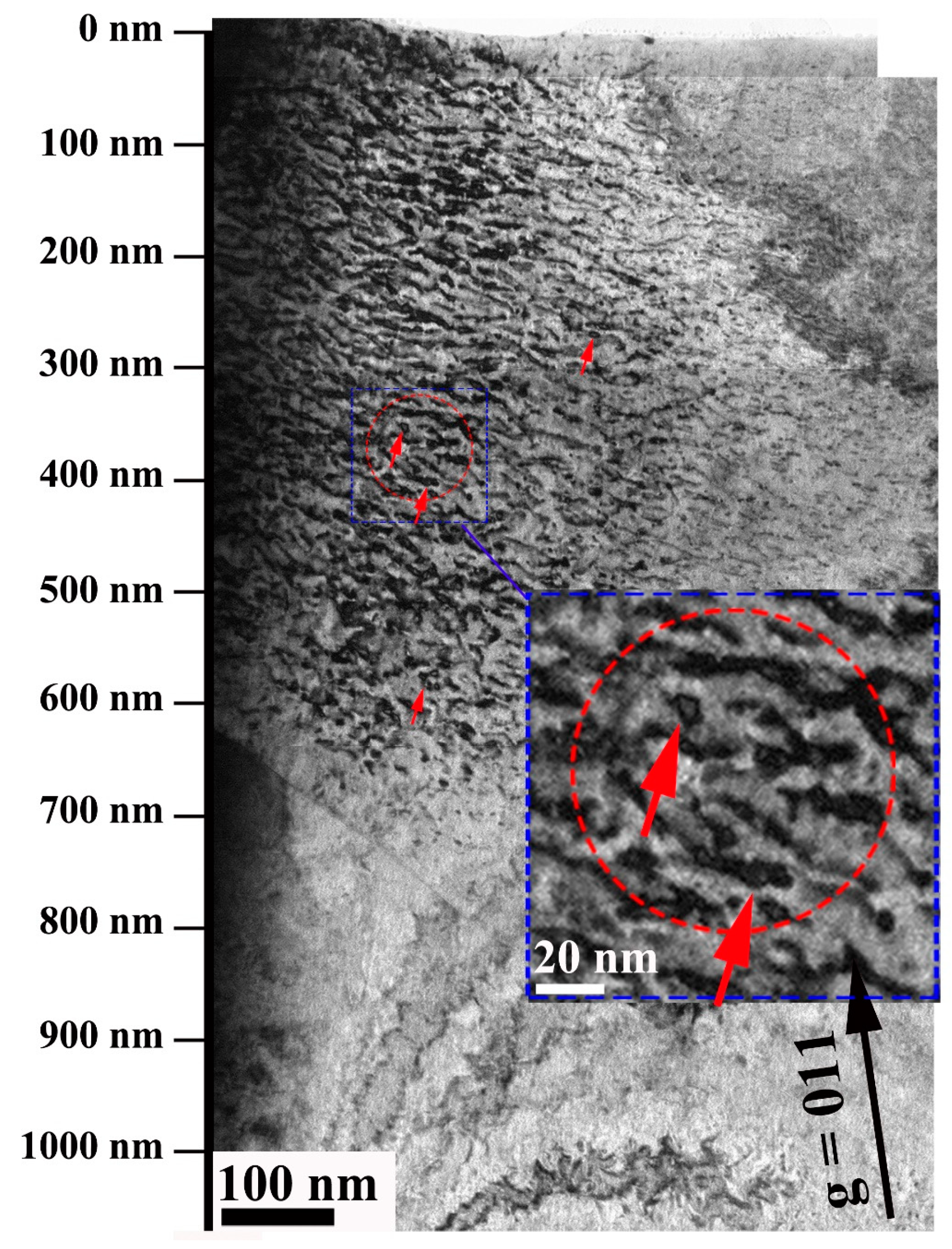 Nanomaterials 13 00497 g004