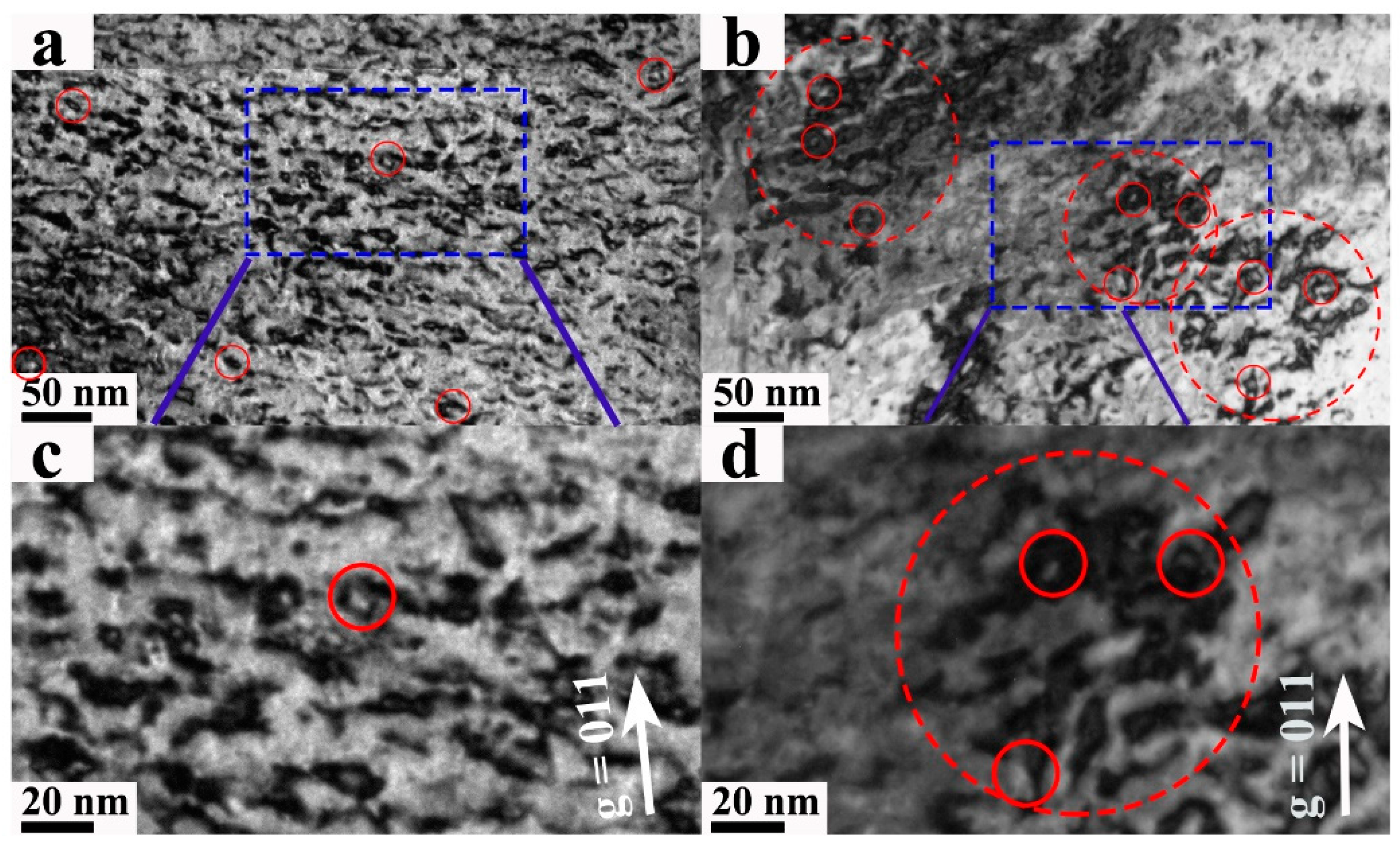 Nanomaterials 13 00497 g005