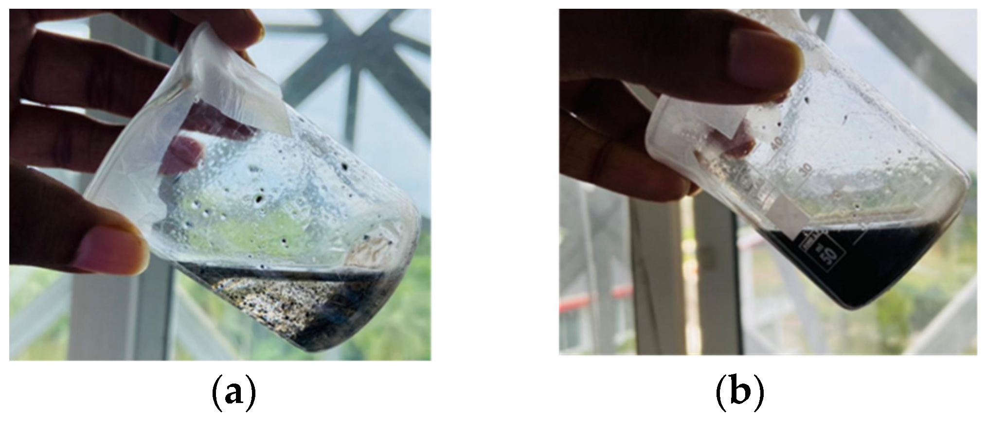 Nanomaterials 13 00498 g004 Nanomaterials 13 00498 g004