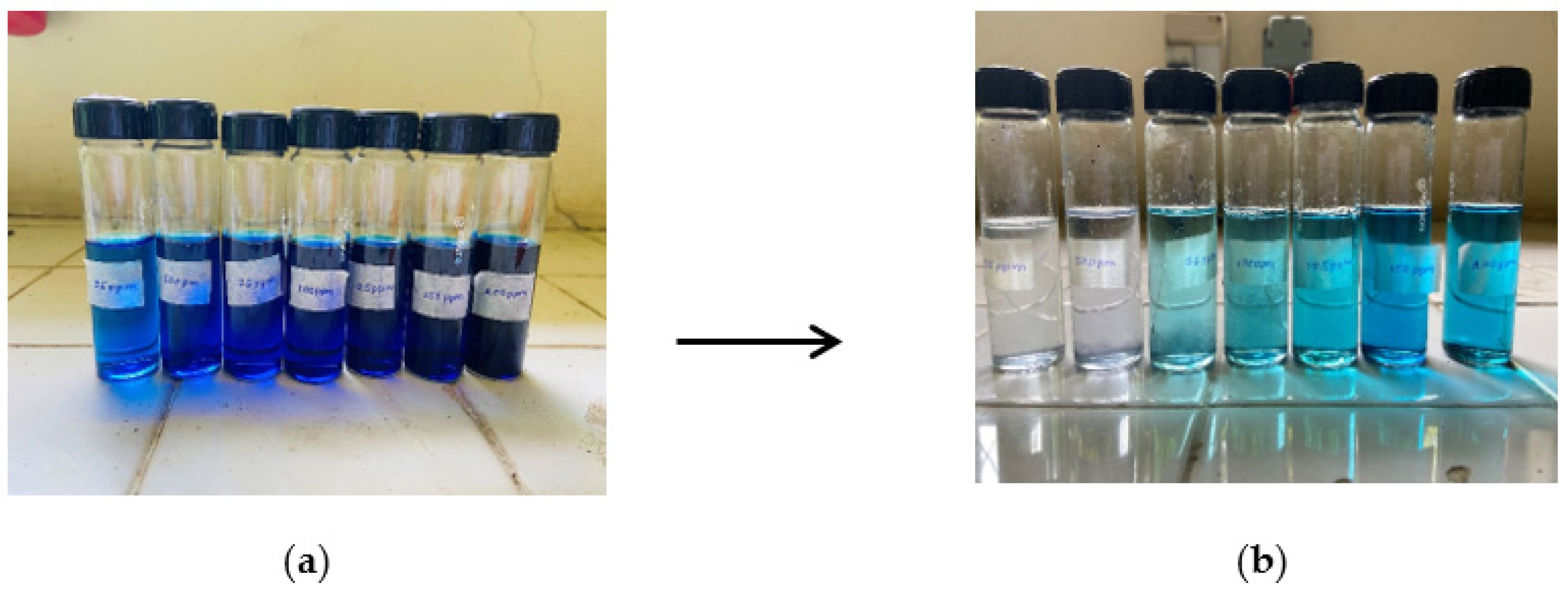 Nanomaterials 13 00498 g019 Nanomaterials 13 00498 g019