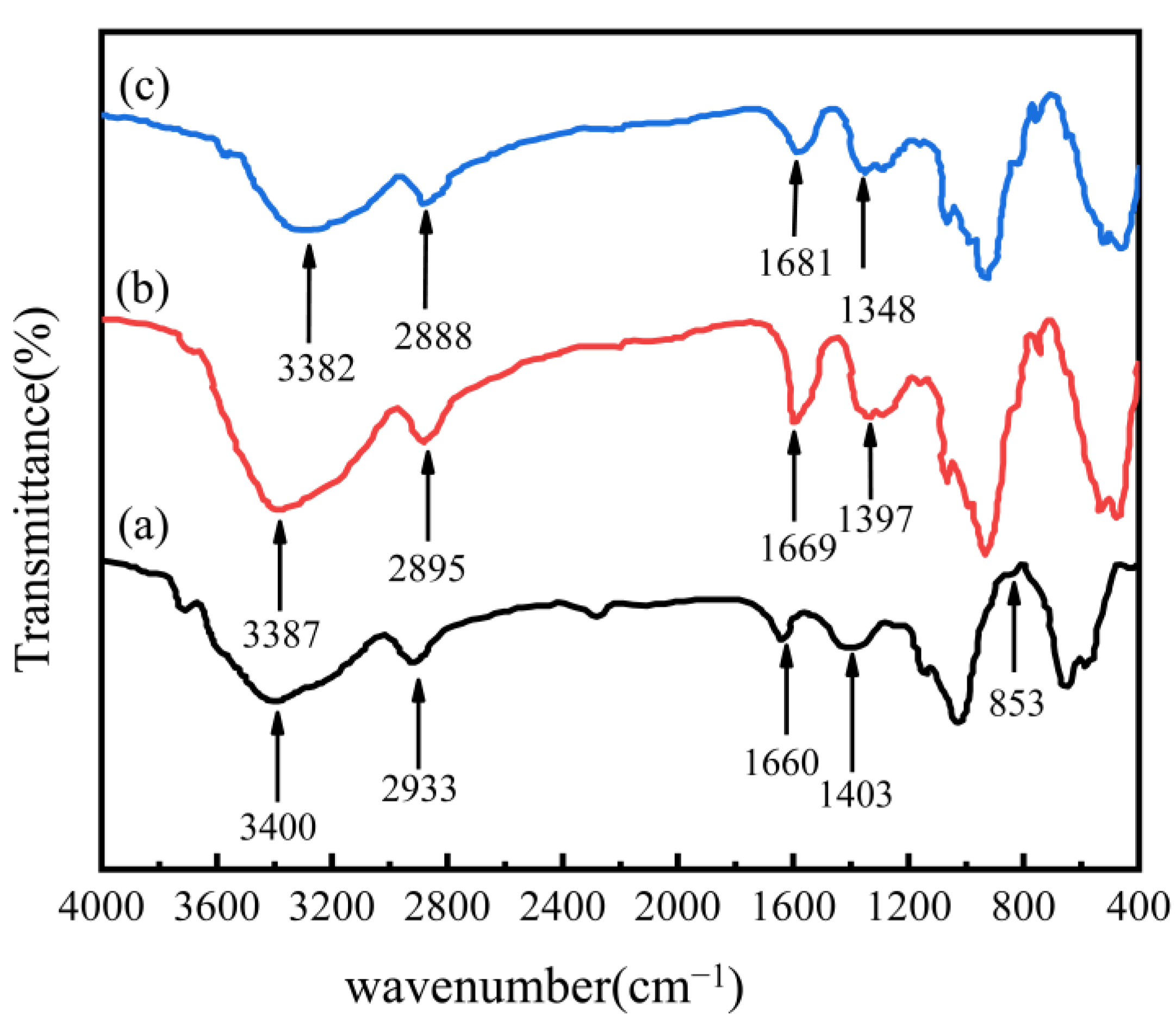 Nanomaterials 13 00513 g001