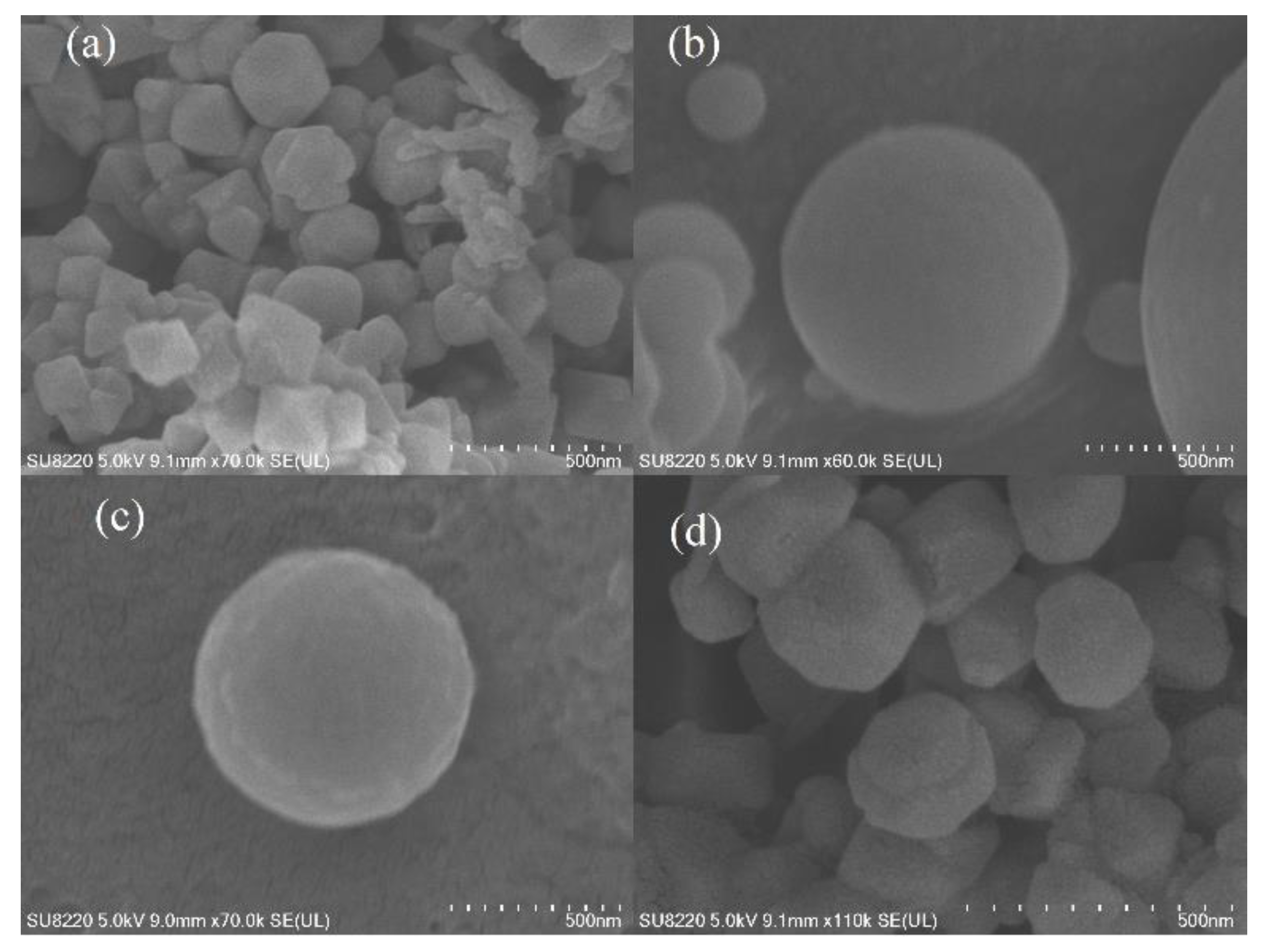 Nanomaterials 13 00513 g002