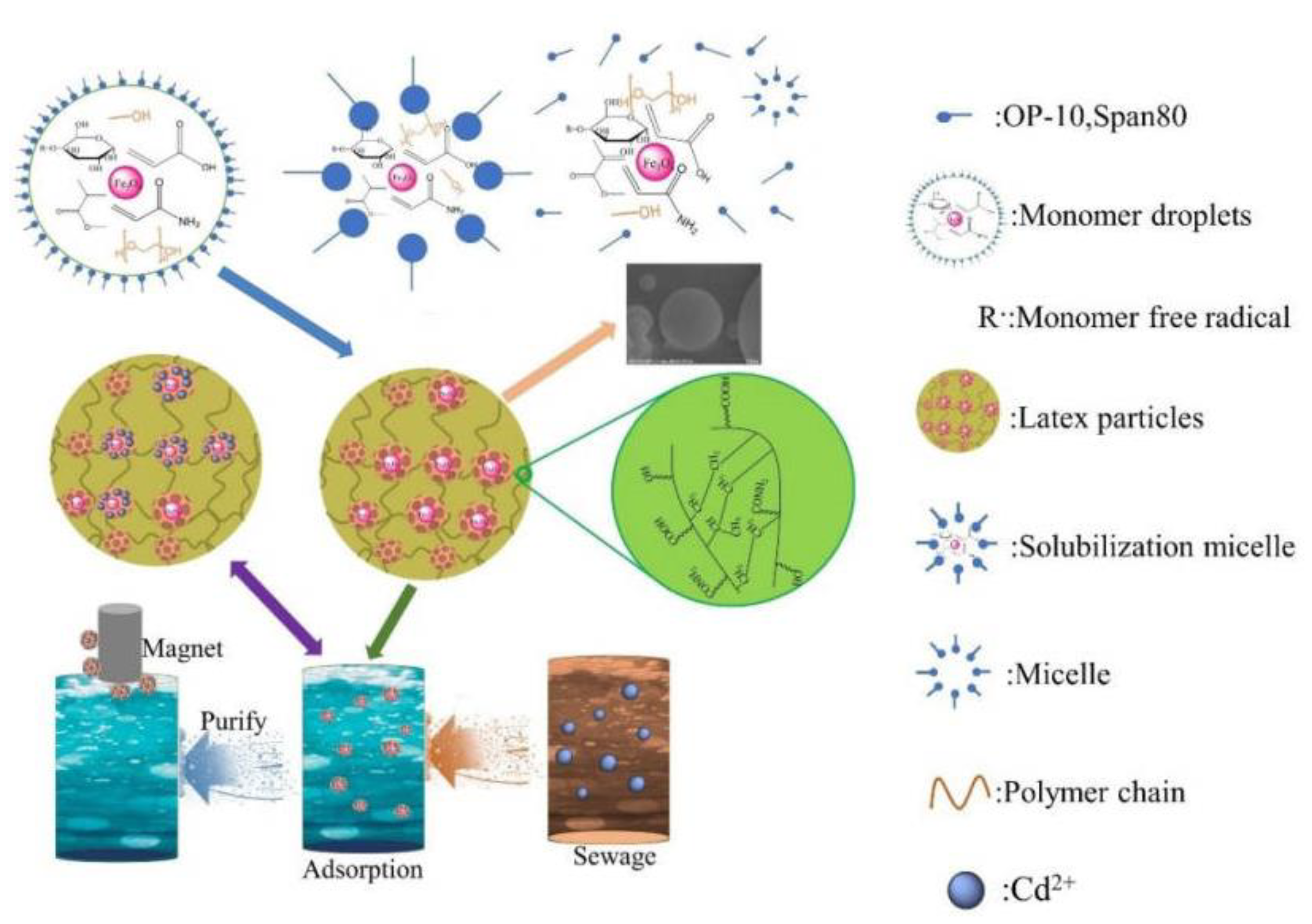 Nanomaterials 13 00513 g010
