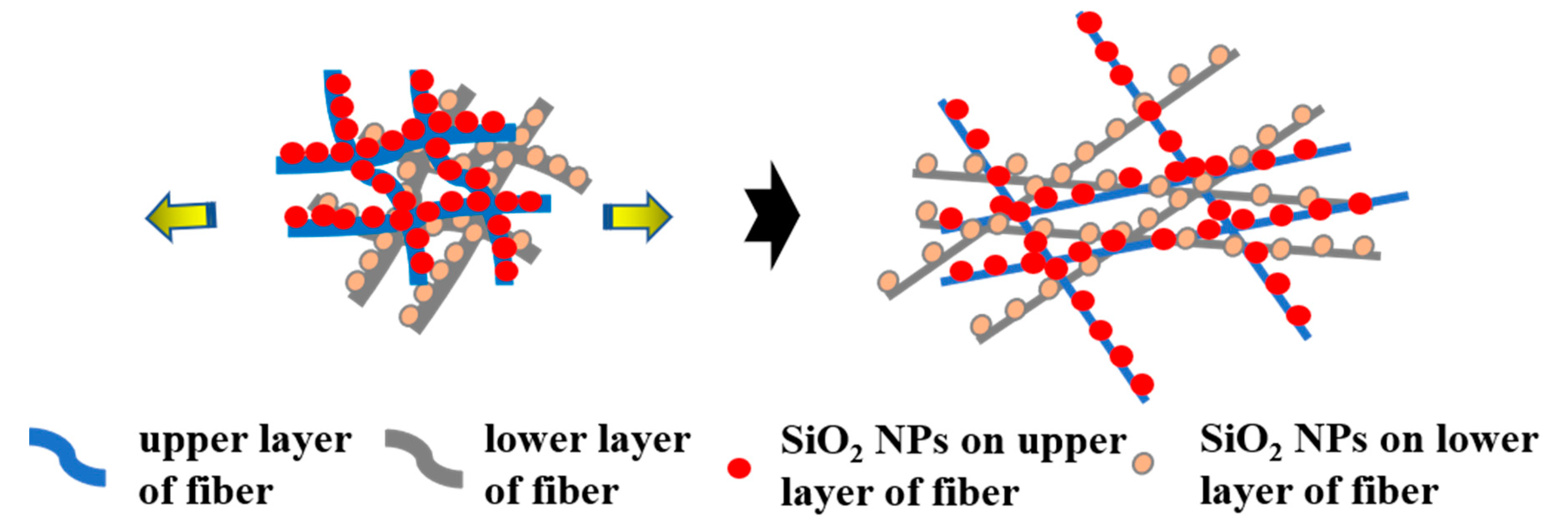 Nanomaterials 13 00516 g008 Nanomaterials 13 00516 g008