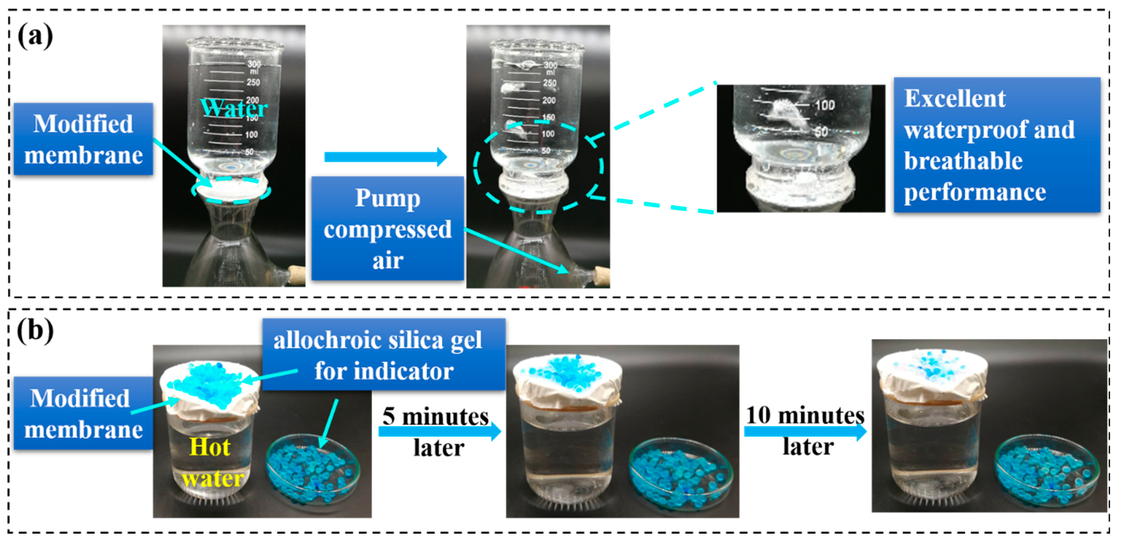 Nanomaterials 13 00516 g011 Nanomaterials 13 00516 g011