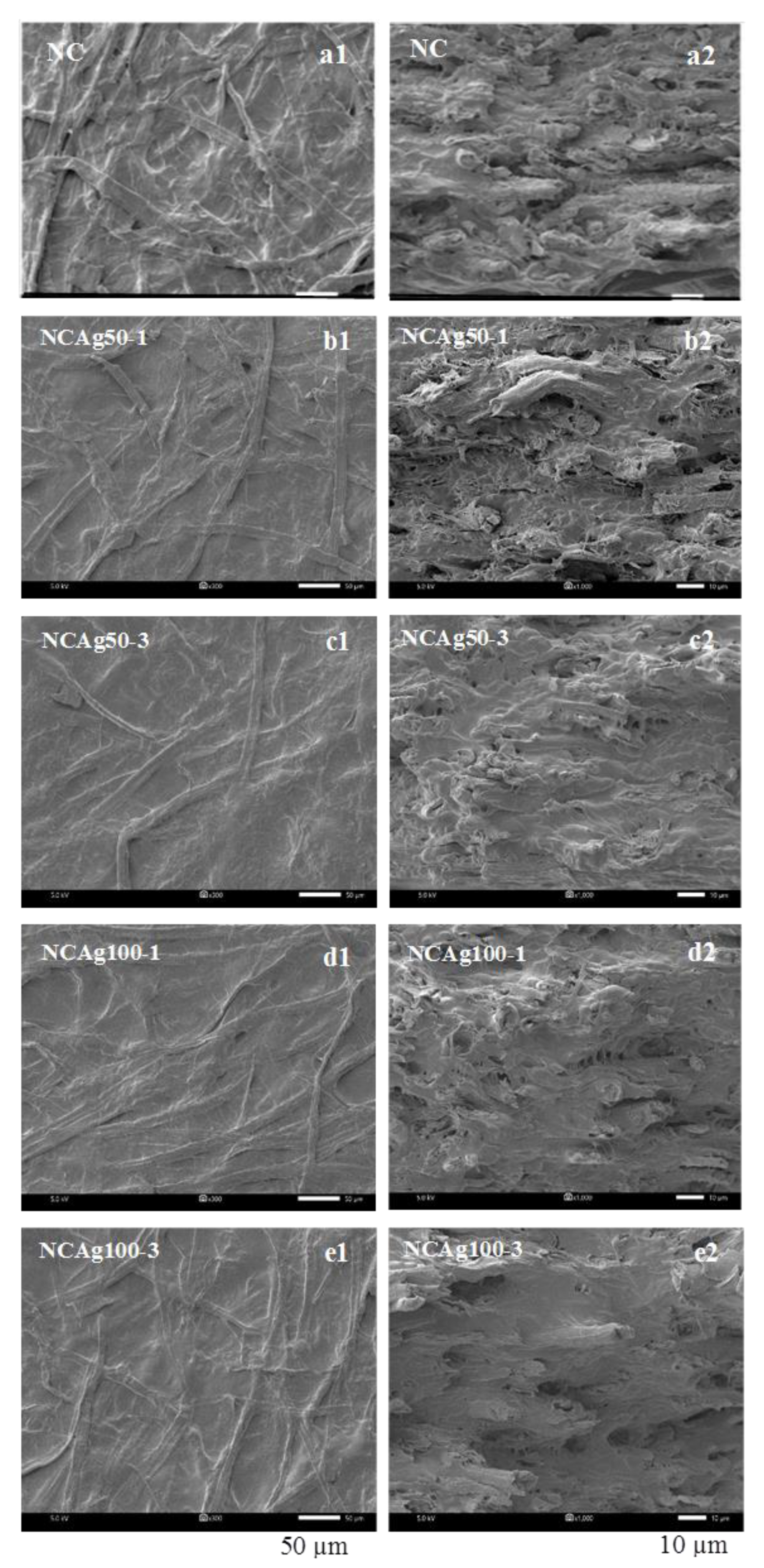 Nanomaterials 13 00521 g003 Nanomaterials 13 00521 g003
