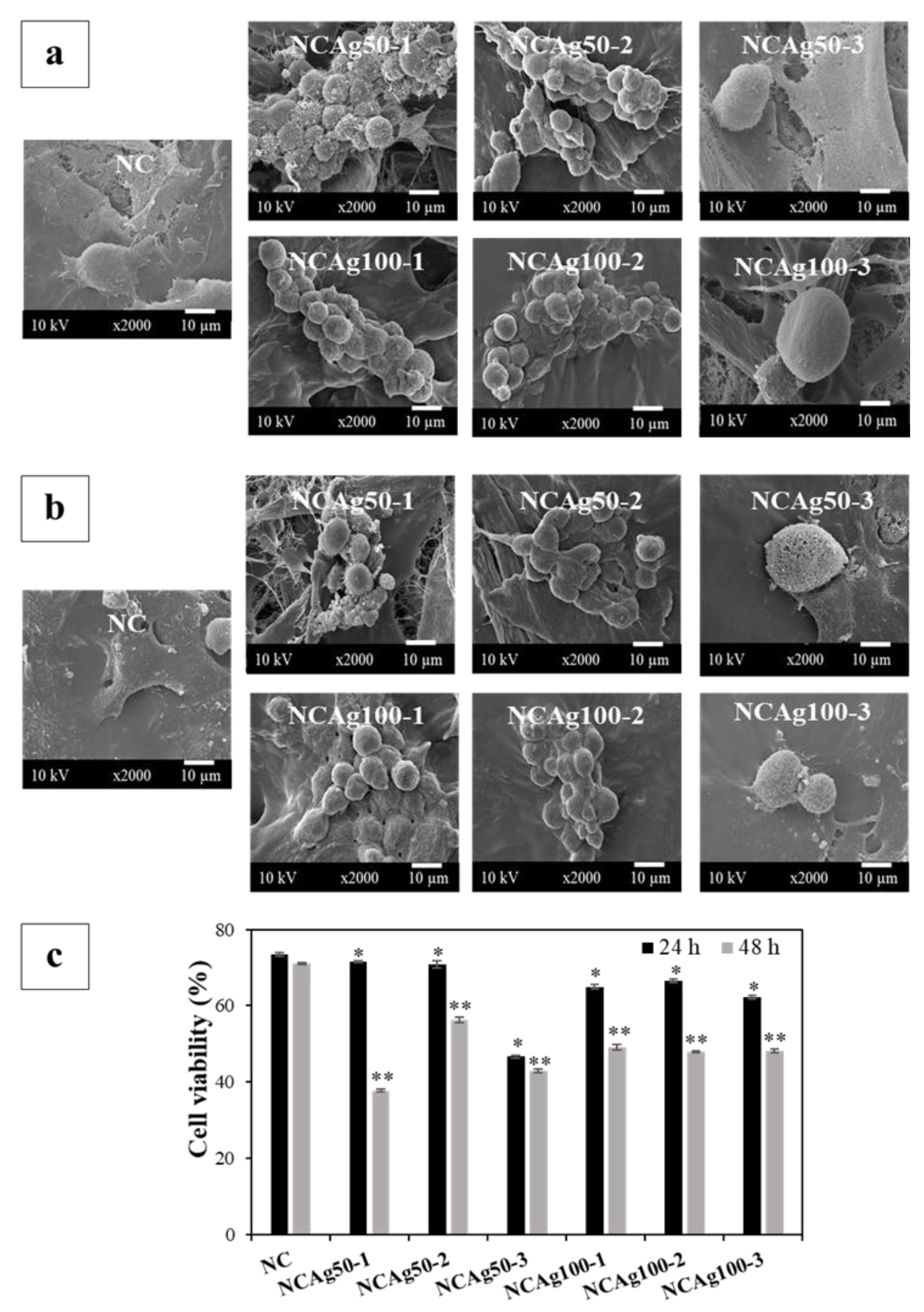 Nanomaterials 13 00521 g010 Nanomaterials 13 00521 g010