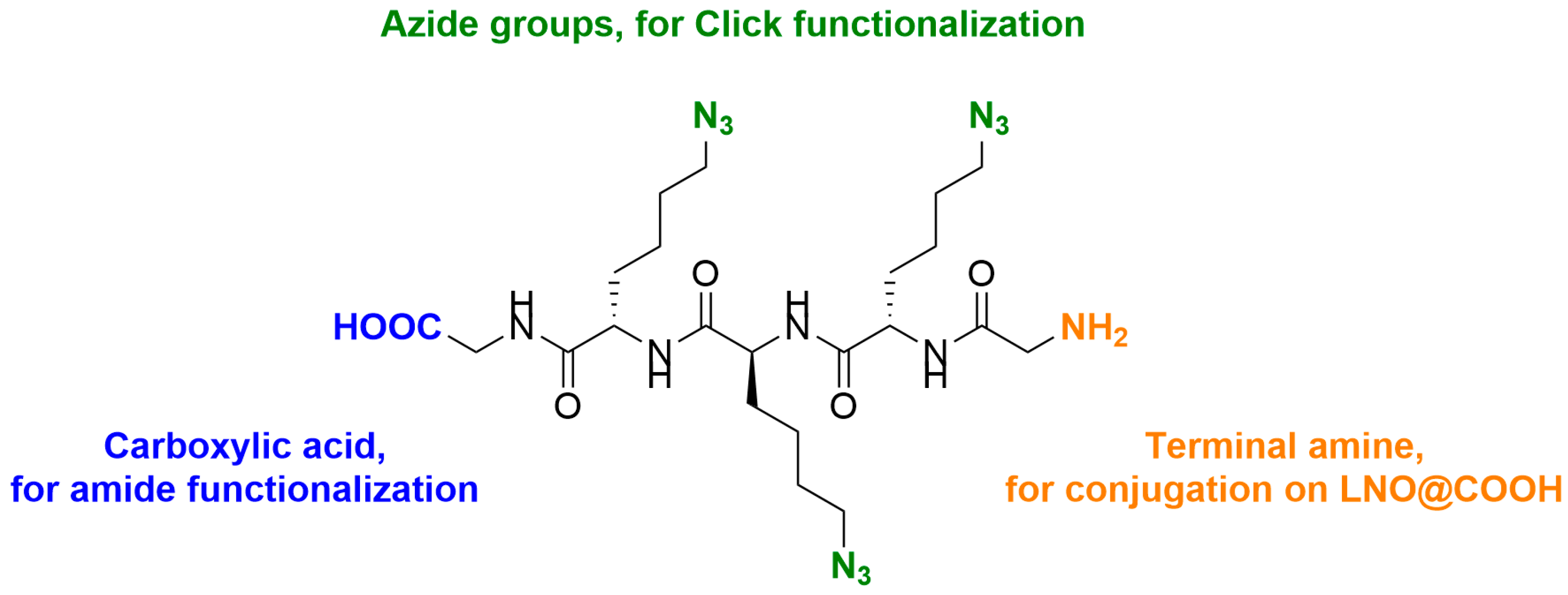 Nanomaterials 13 00522 g003