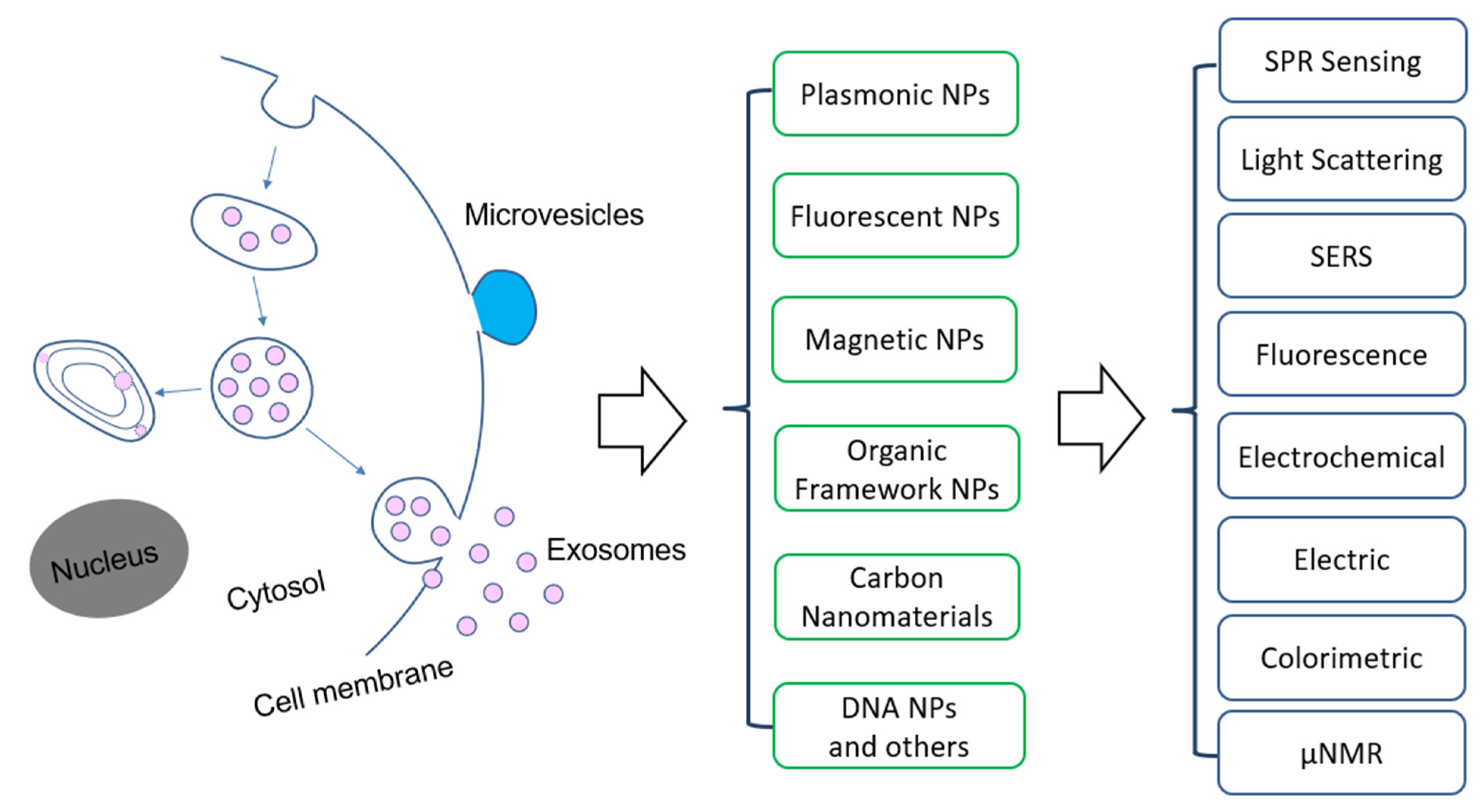 Nanomaterials 13 00524 g001