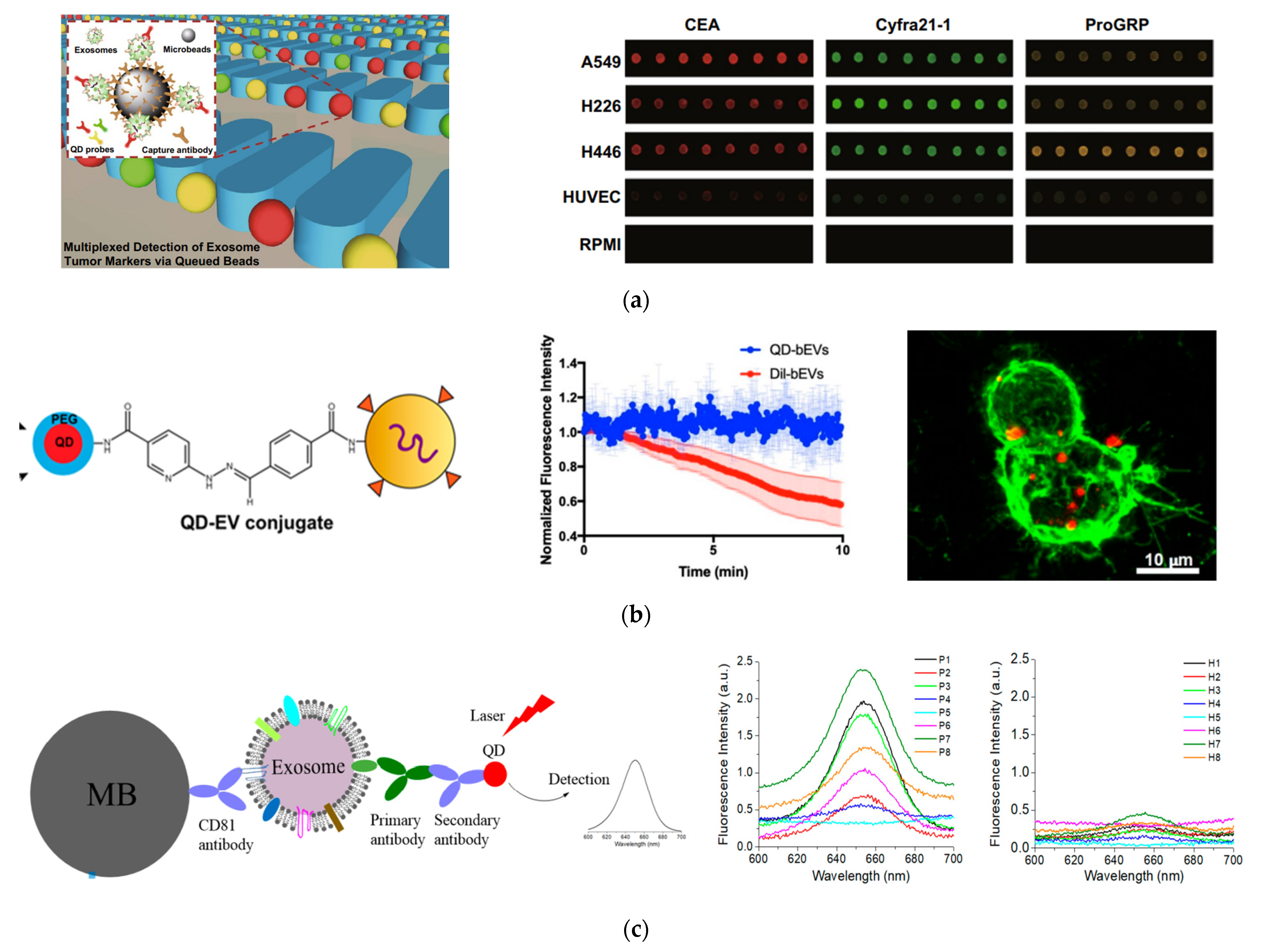 Nanomaterials 13 00524 g005